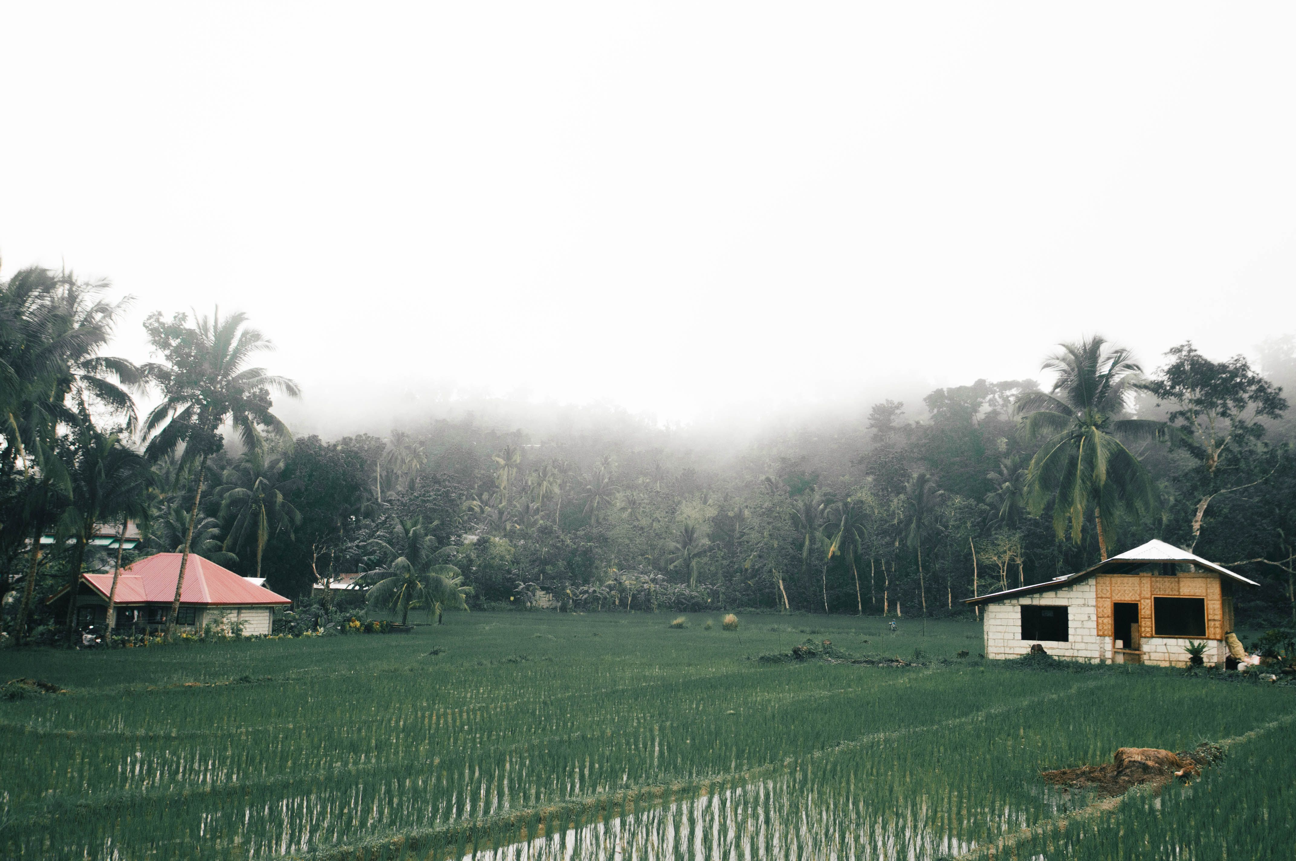 PhilSA Launches HiRAYA To Recognize Student Research In Space Science And Technology — Photo by Sigrid Abalos on Pexels