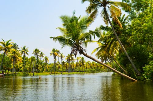 Free A tranquil view of a tropical scenery featuring leaning palm trees over still water, perfect for travel inspiration. Stock Photo