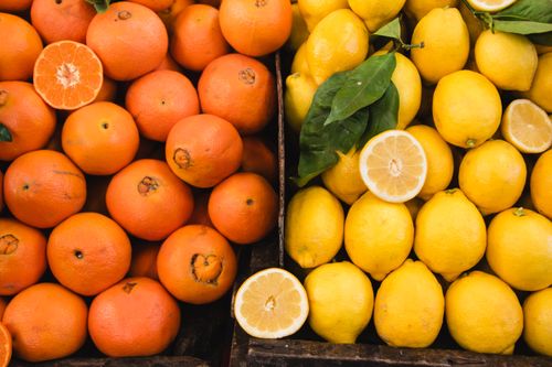 Free Bright display of juicy oranges and lemons at a local market in Chillán, Chile, highlighting fresh produce. Stock Photo