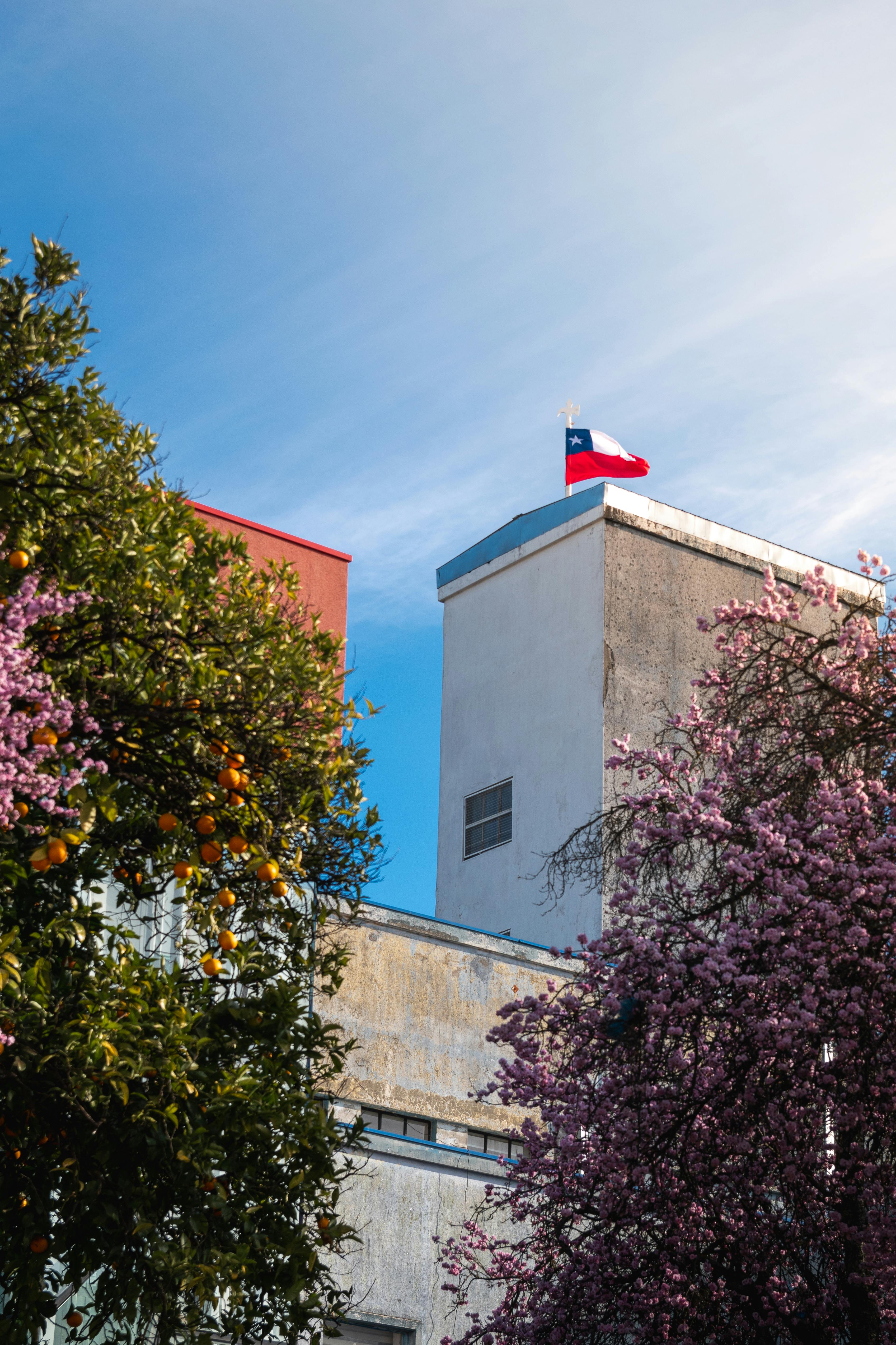 ¿Qué tan inclusiva es la educación superior en Chile para sectores vulnerables?