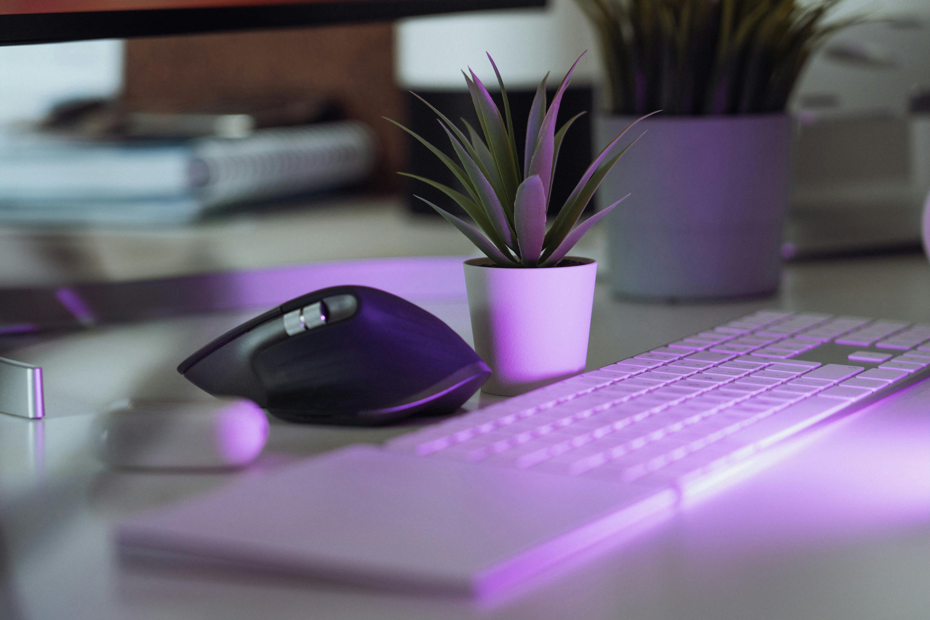 Stylish home office workspace featuring keyboard, mouse, and potted plant under purple illumination.