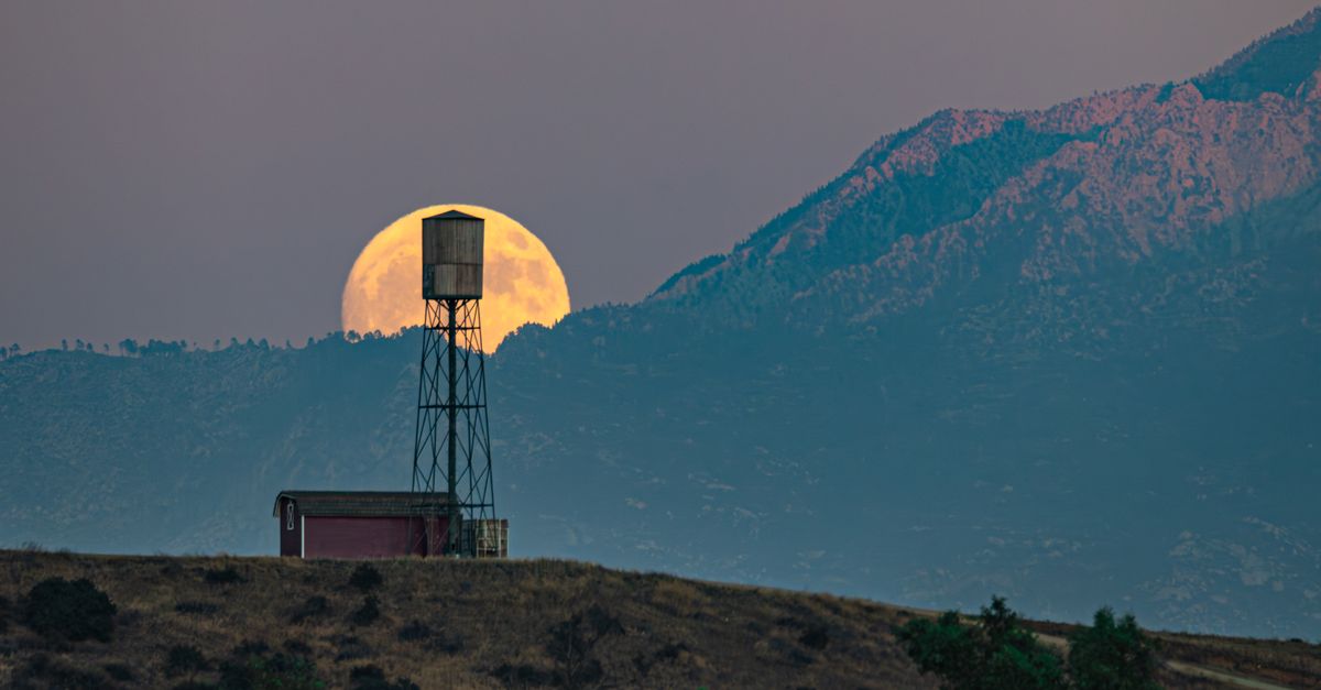 sturgeon moon