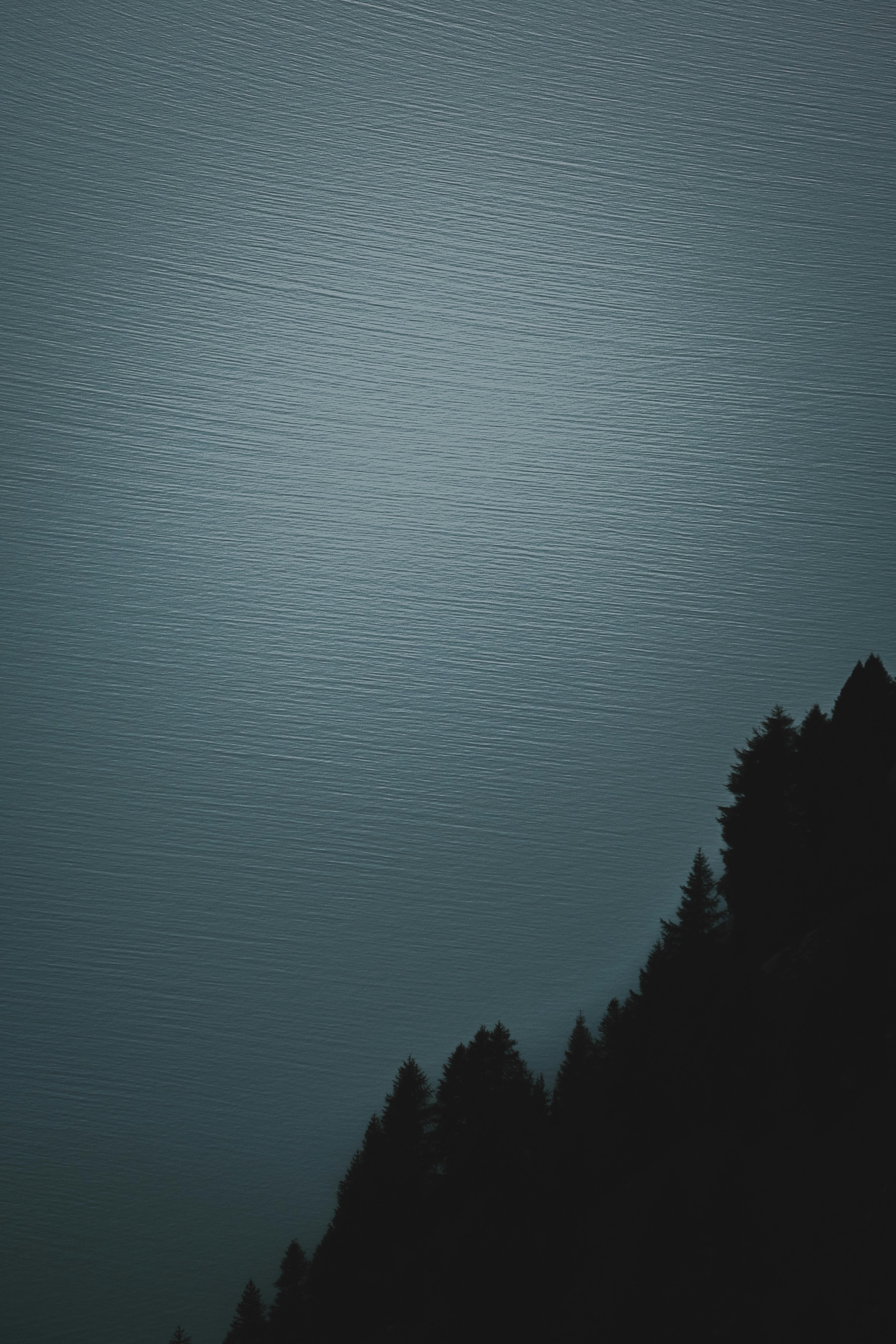 Gratuit Imagine de stoc gratuită din abstract, adâncime, arbore Fotografie de stoc