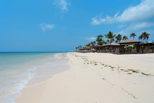 Relaxing view of a tropical beachfront in Oranjestad, Aruba with palm trees and clear blue waters.