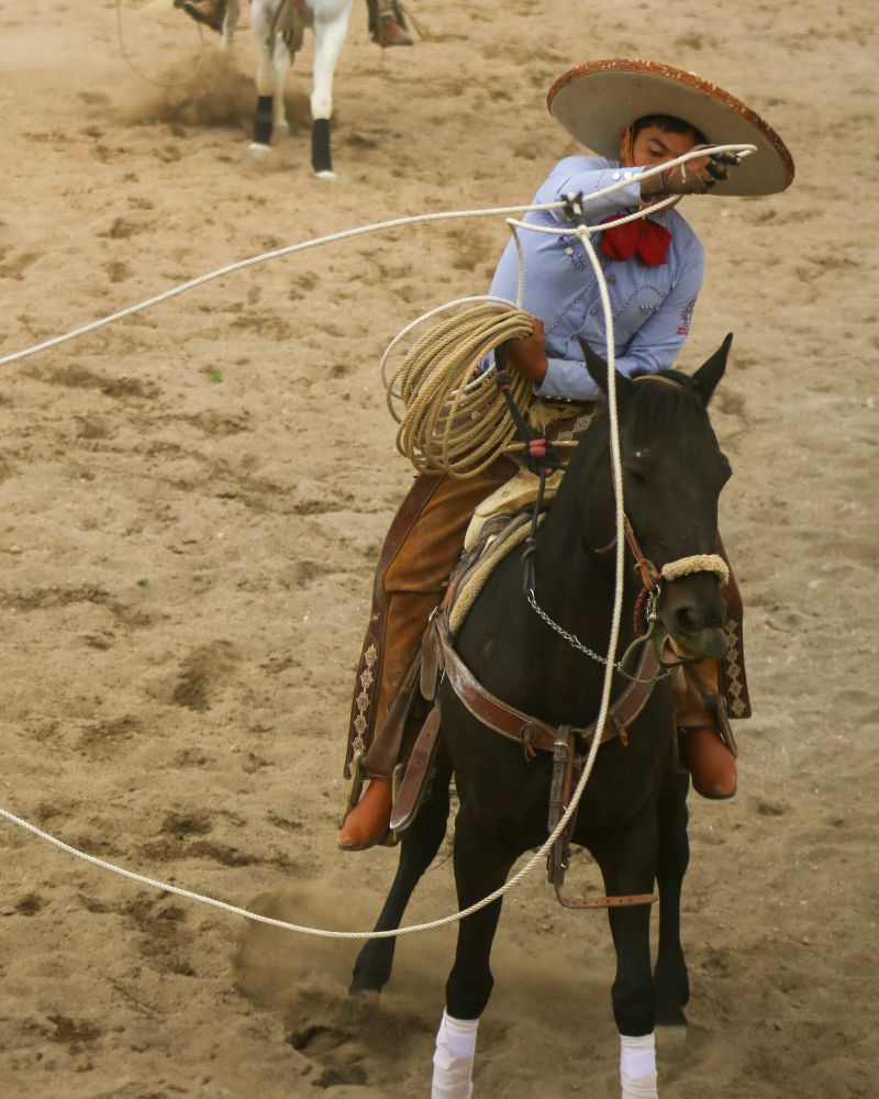 Rodeo Photos, Download The BEST Free Rodeo Stock Photos & HD Images