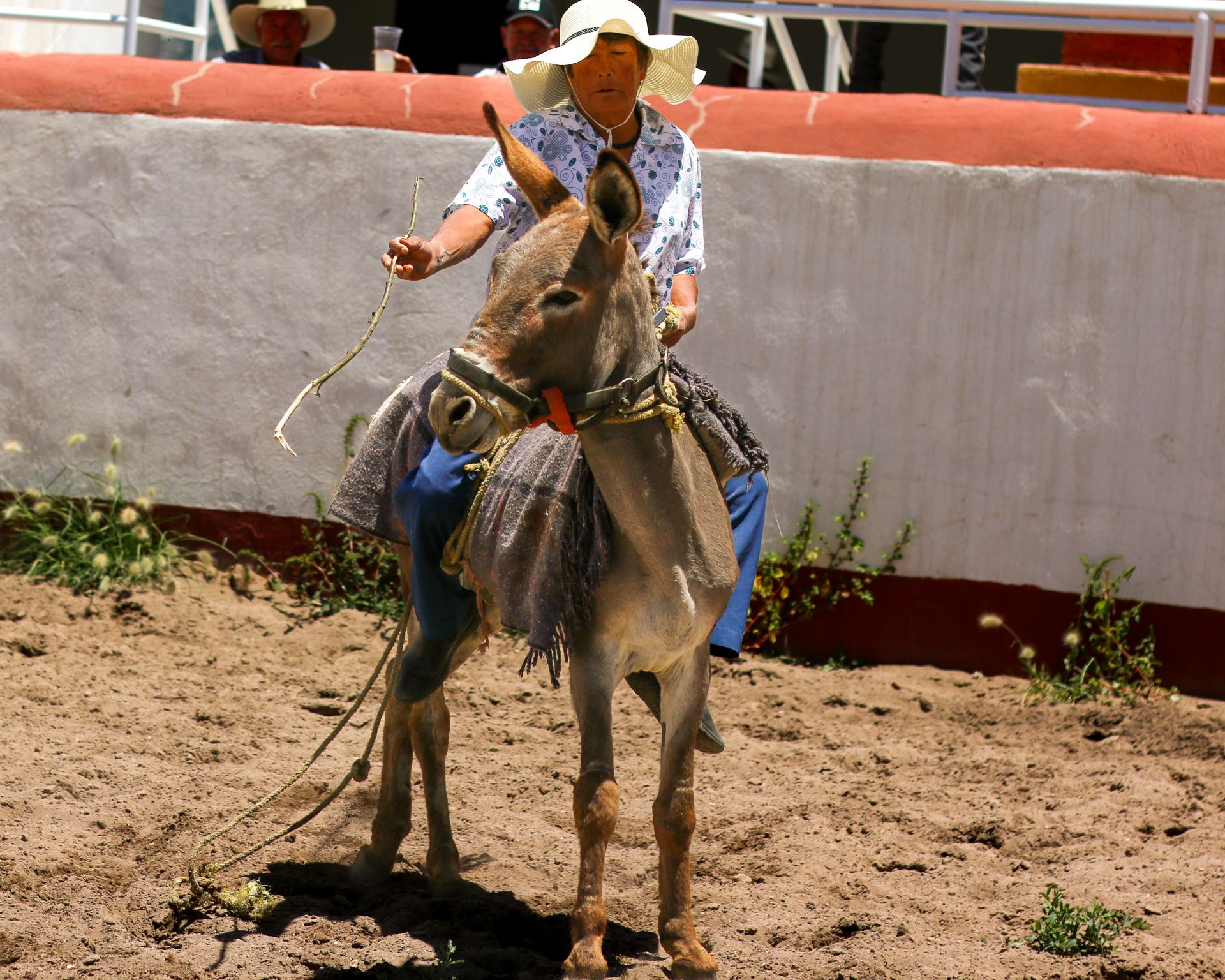 A man riding a donkey in a dirt arena