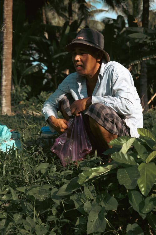 Free A Vietnamese farmer working in a lush green field in Tien Giang, Vietnam. Stock Photo