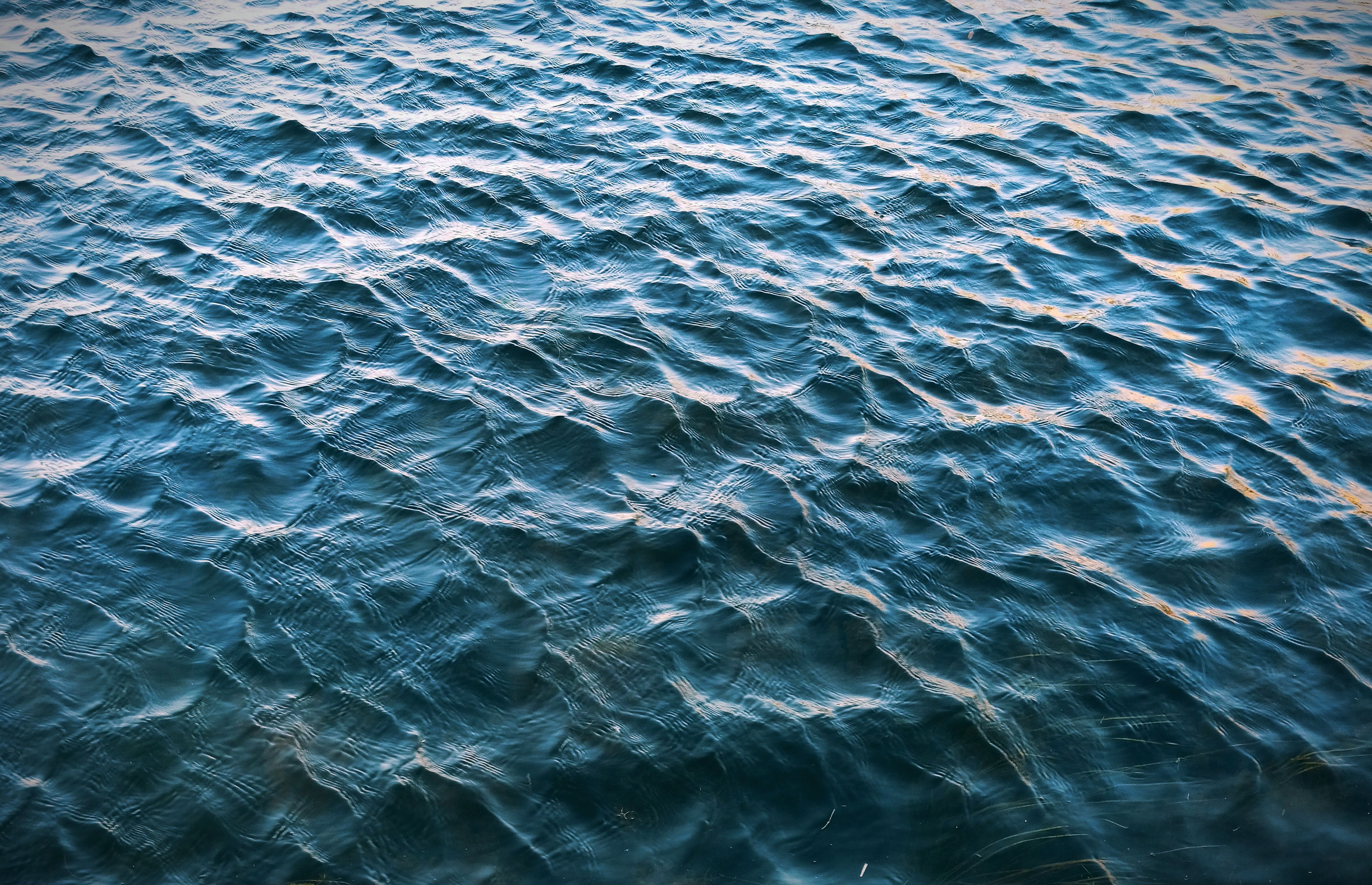 A close up of the water surface with ripples · Free Stock Photo