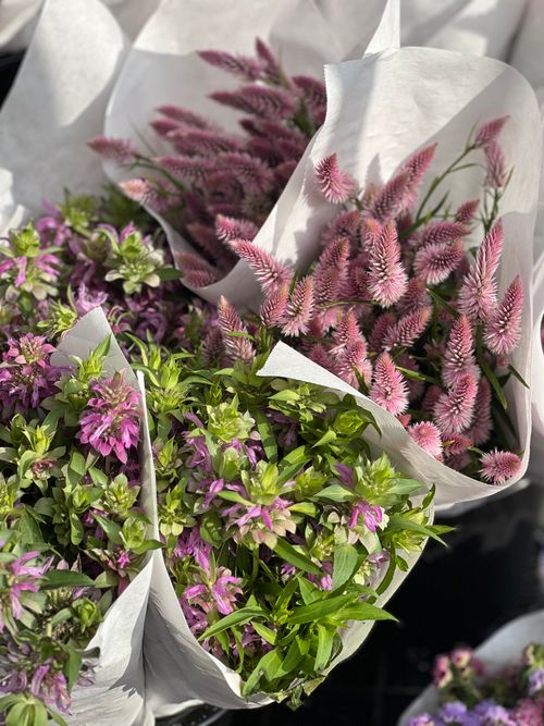 Free Vibrant bouquets of purple and pink flowers wrapped in white paper, ideal for celebrations. Stock Photo