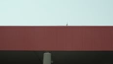 A bird is perched on top of a red building