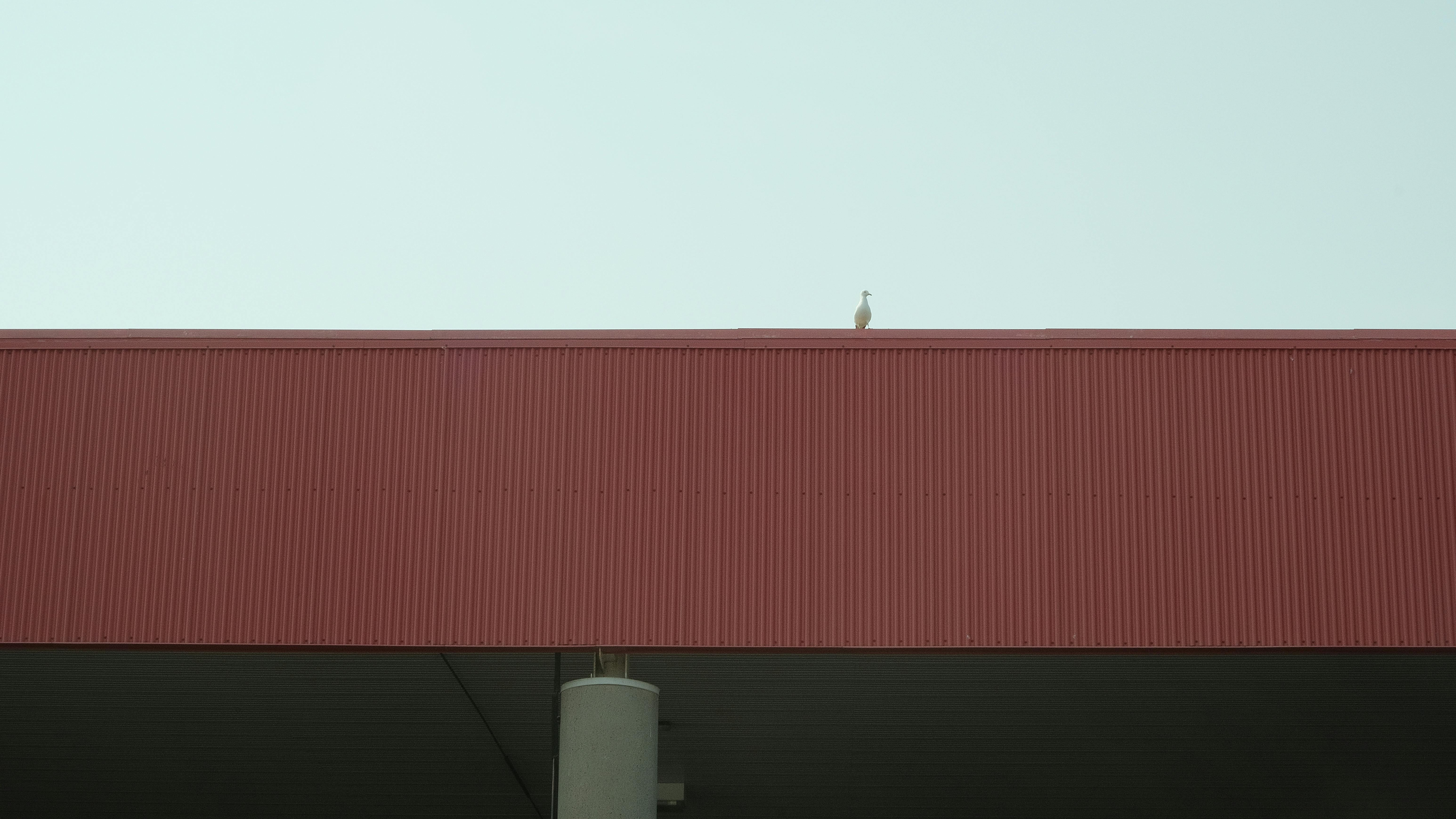 Ücretsiz açık hava, basit, bina içeren Ücretsiz stok fotoğraf Stok Fotoğraflar