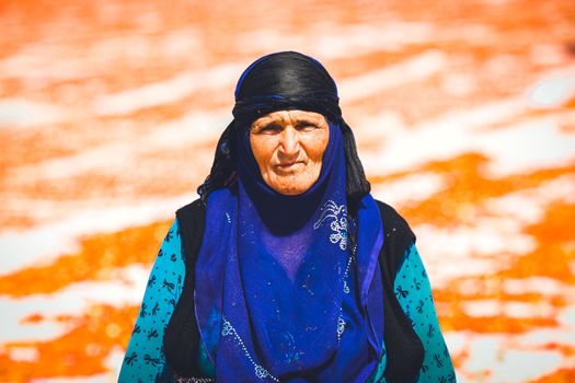 Portrait of an elderly woman with a blue veil in a sunny outdoor setting.