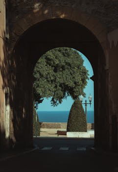 A picturesque view through a historical archway framing a tree and the ocean beyond.