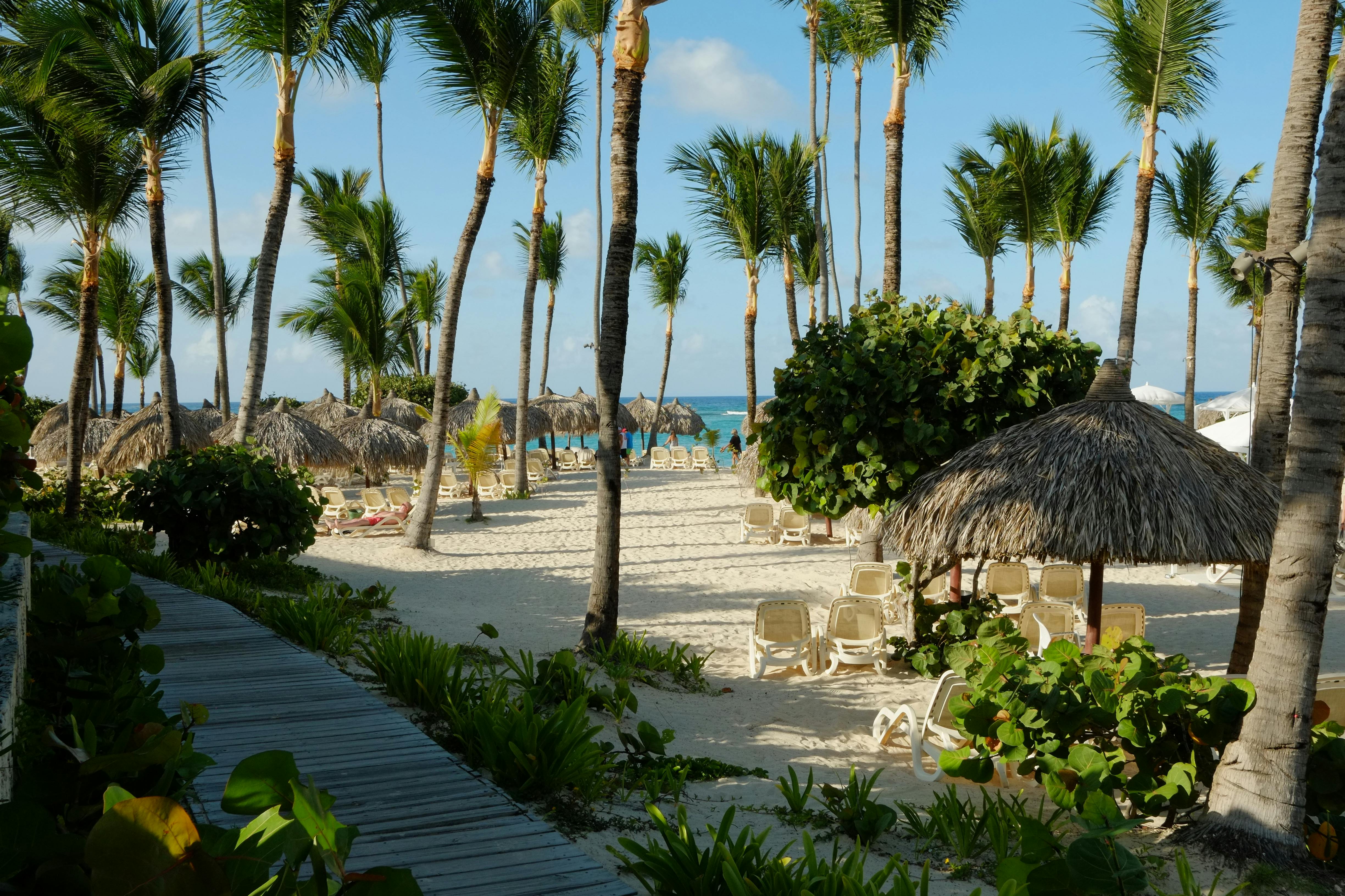The number of Caribbean islands offering remote-work visas expands — Photo by Ettienne Muniz on Pexels