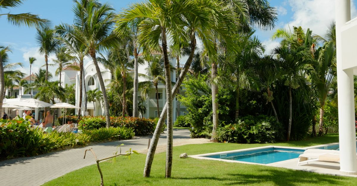Dominica: RSE hotelera que apoya resiliencia climática y conservación de bosques Dominica: RSE hotelera que apoya resiliencia climática y conservación de bosques