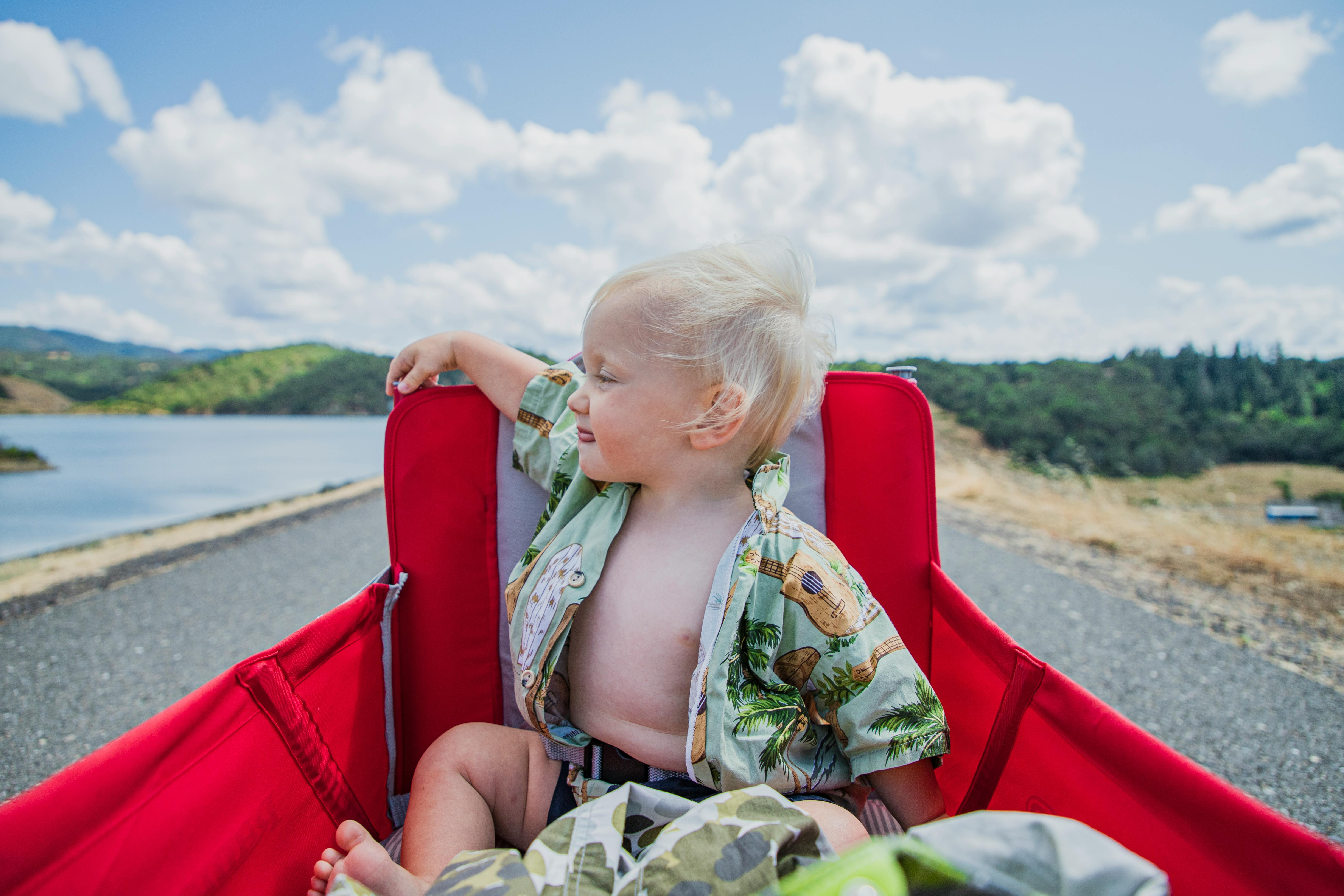 在一个阳光明媚的日子里，可爱的孩子在风景优美的湖边乘坐红色马车