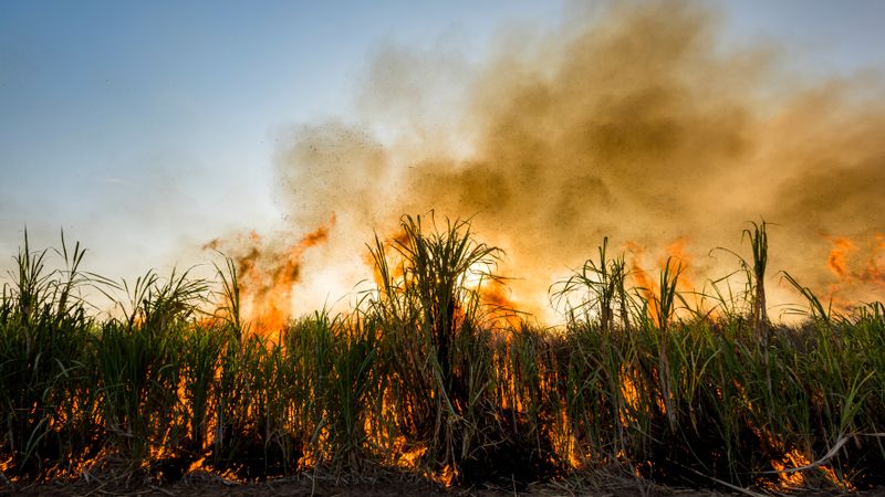Previsão do Tempo em Maio: Chuvas no Norte, Seca no Centro-Oeste e Sudeste