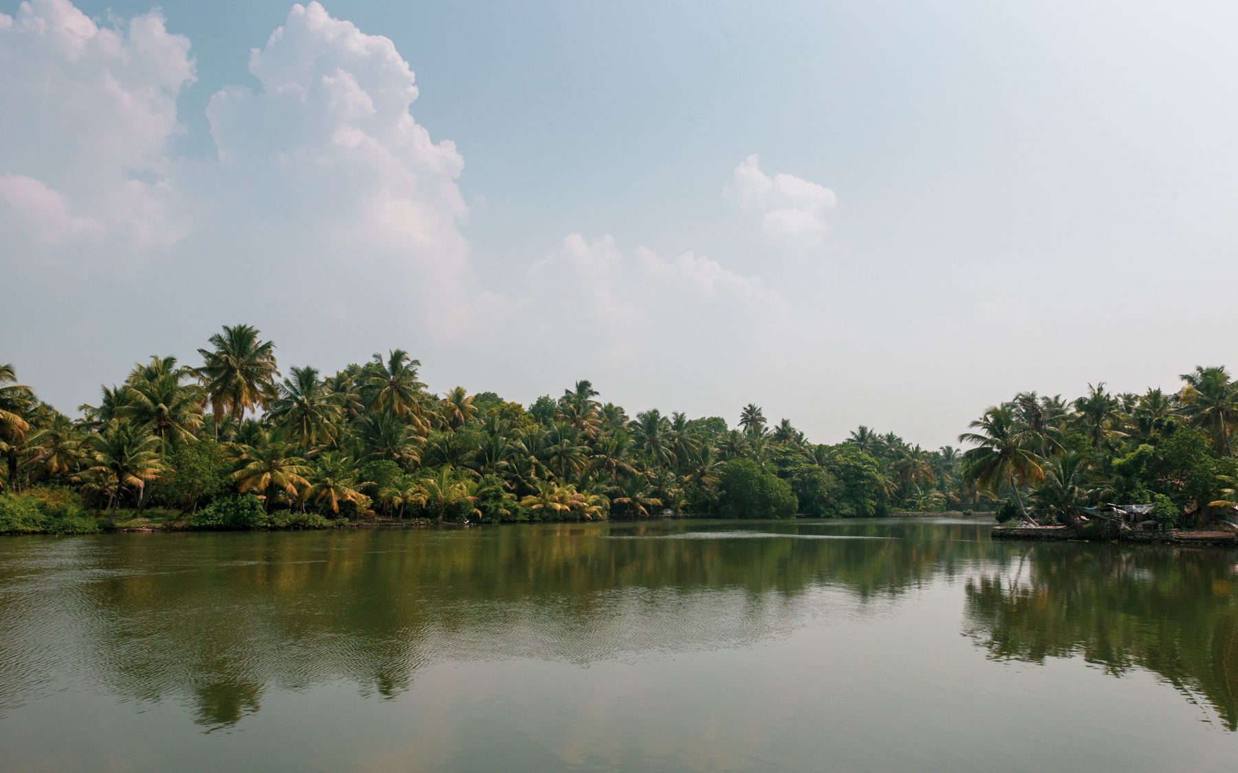 Captain's Castle Kochi: A Nature Retreat by the Backwaters