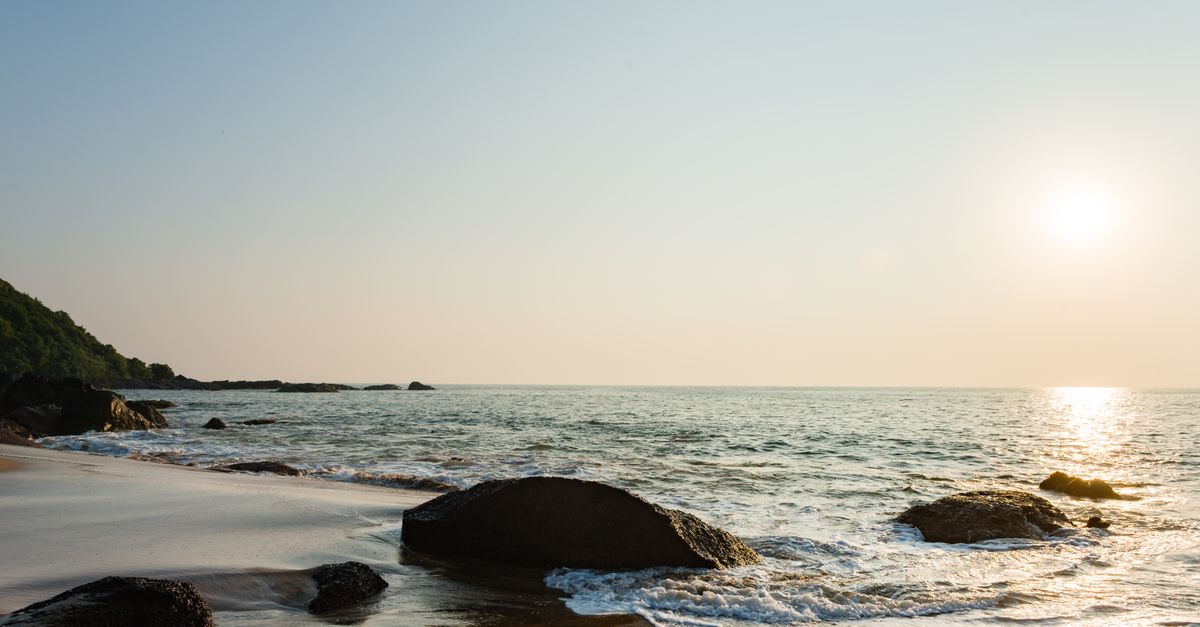 Goa's Gentle Embrace: Unlocking Coastal Self-Care and Wellness in Panaji and Beyond