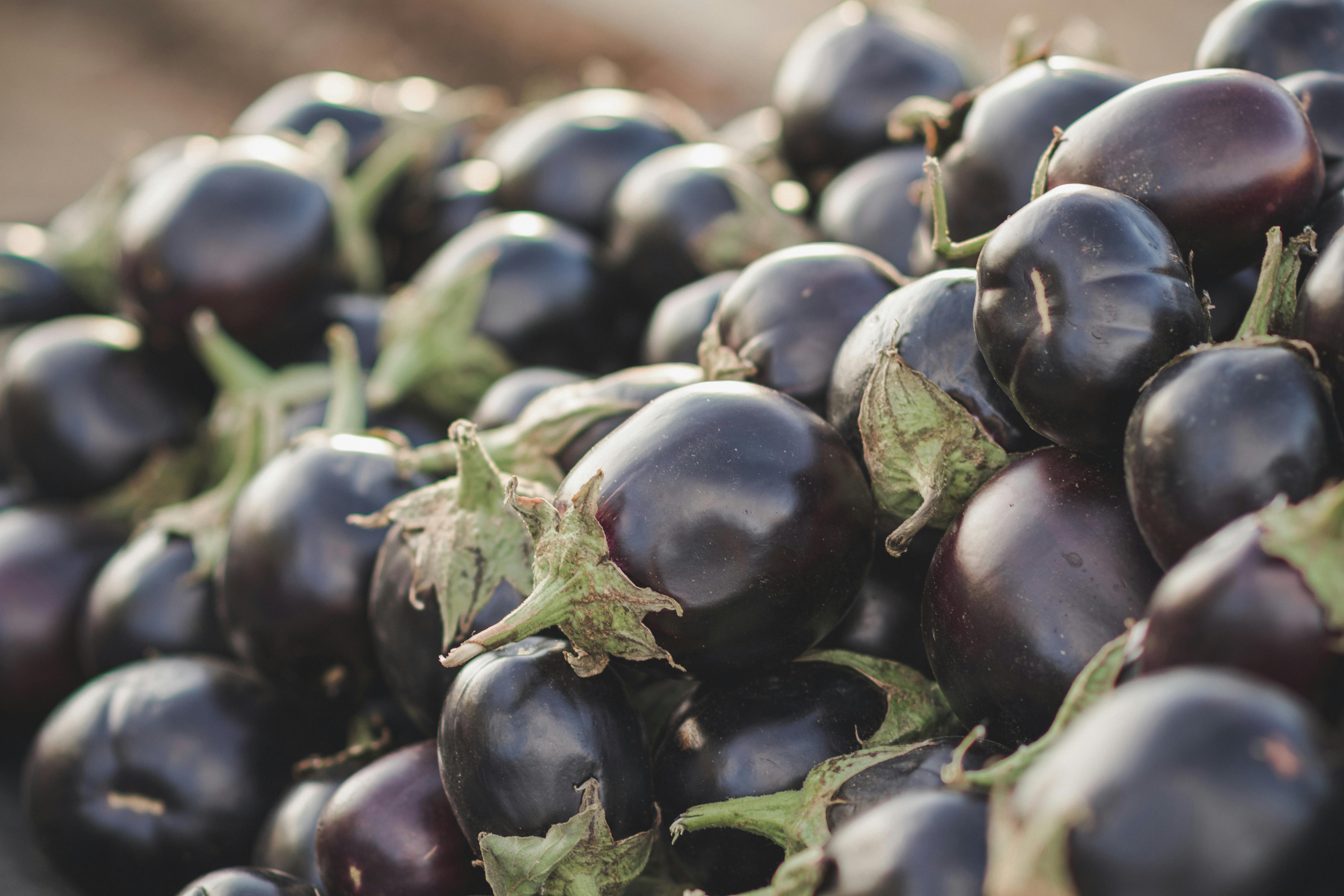 eggplant in tunisian souk