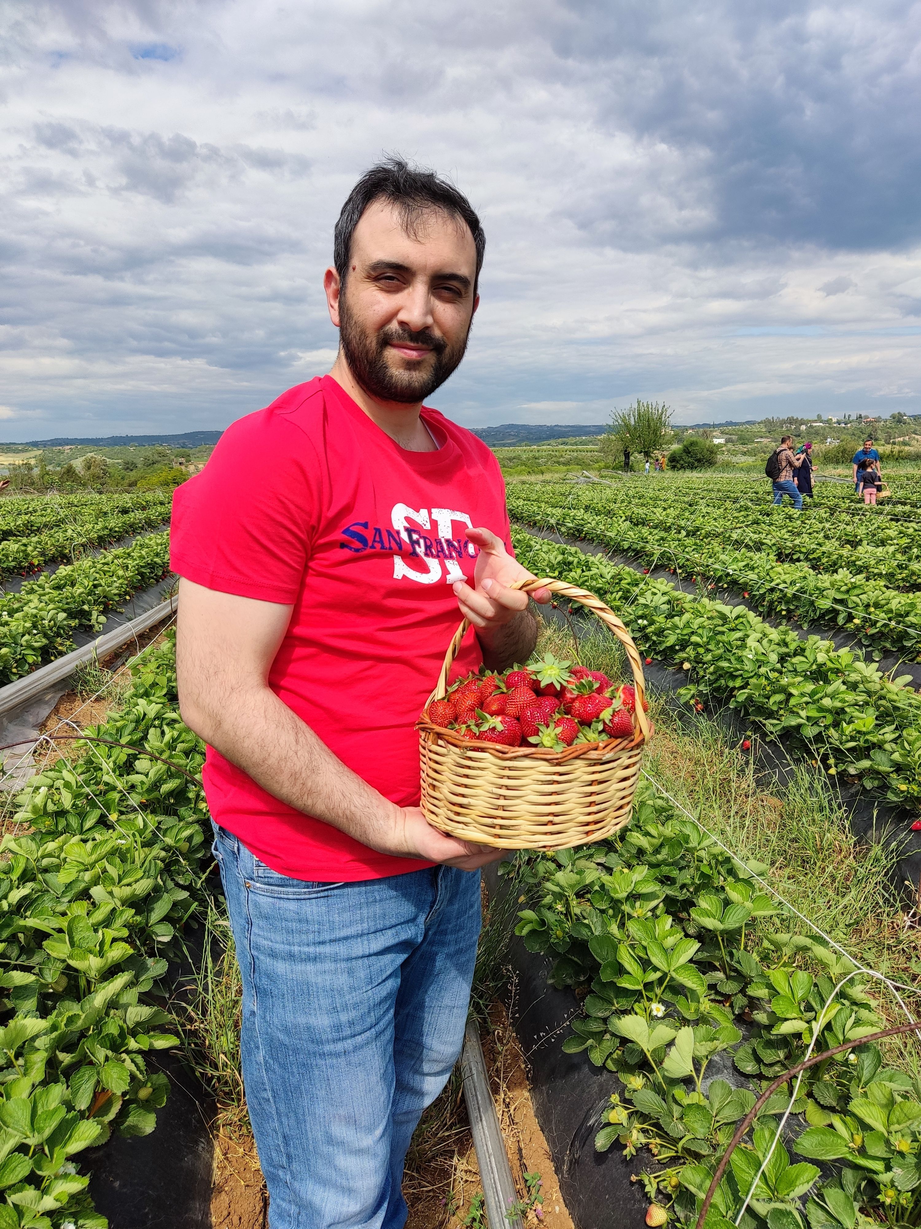 Man holding a basket of fresh strawberries in a lush Adana farm field on a sunny day.