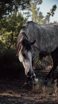 Image by Gökhan Ünlü