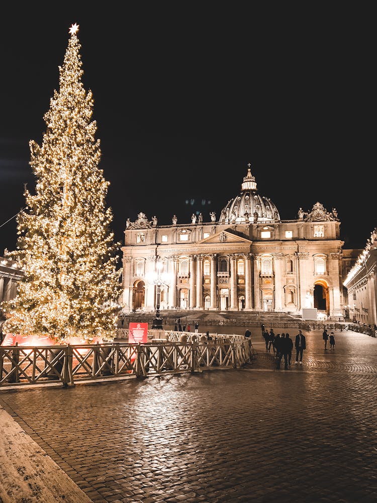 Lighted Holiday Tree In Front Of Building