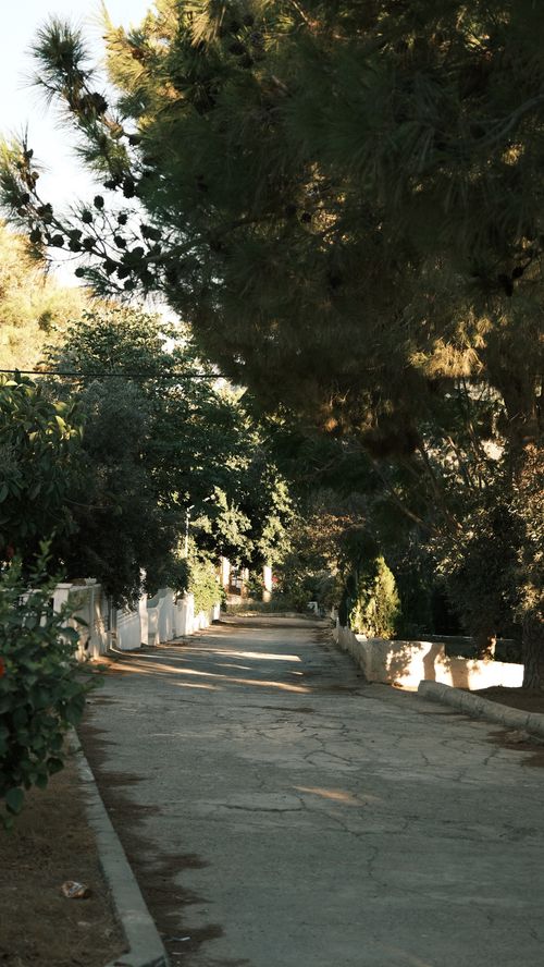 Free A quiet and scenic tree-shaded pathway, perfect for a tranquil walk. Stock Photo