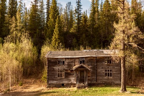 Free Cozy wooden cabin surrounded by lush forest trees, capturing an essence of rustic tranquility in nature. Stock Photo