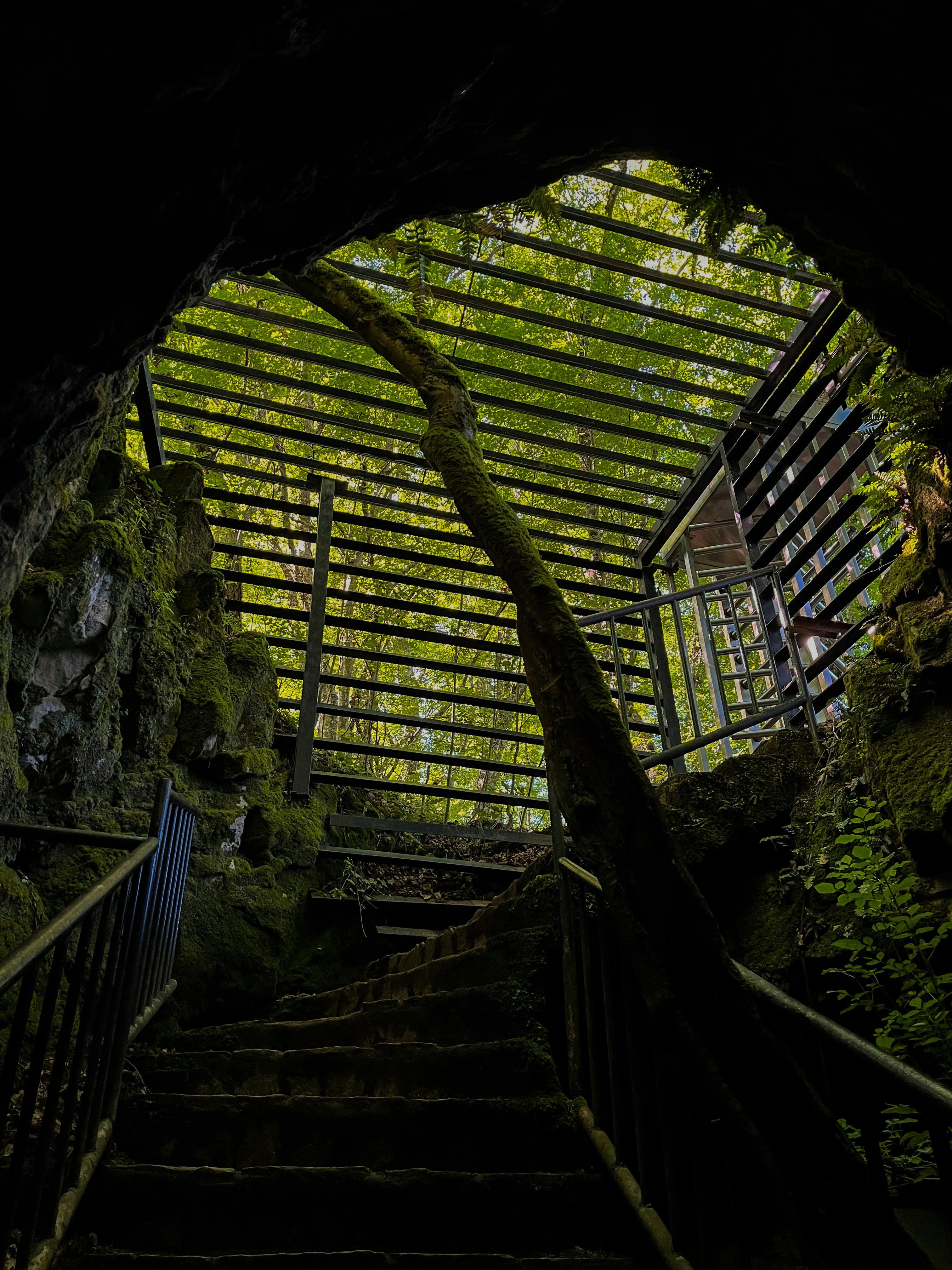 The Hidden History of Alligator Alcatraz: What Really Happened Behind the Bars?