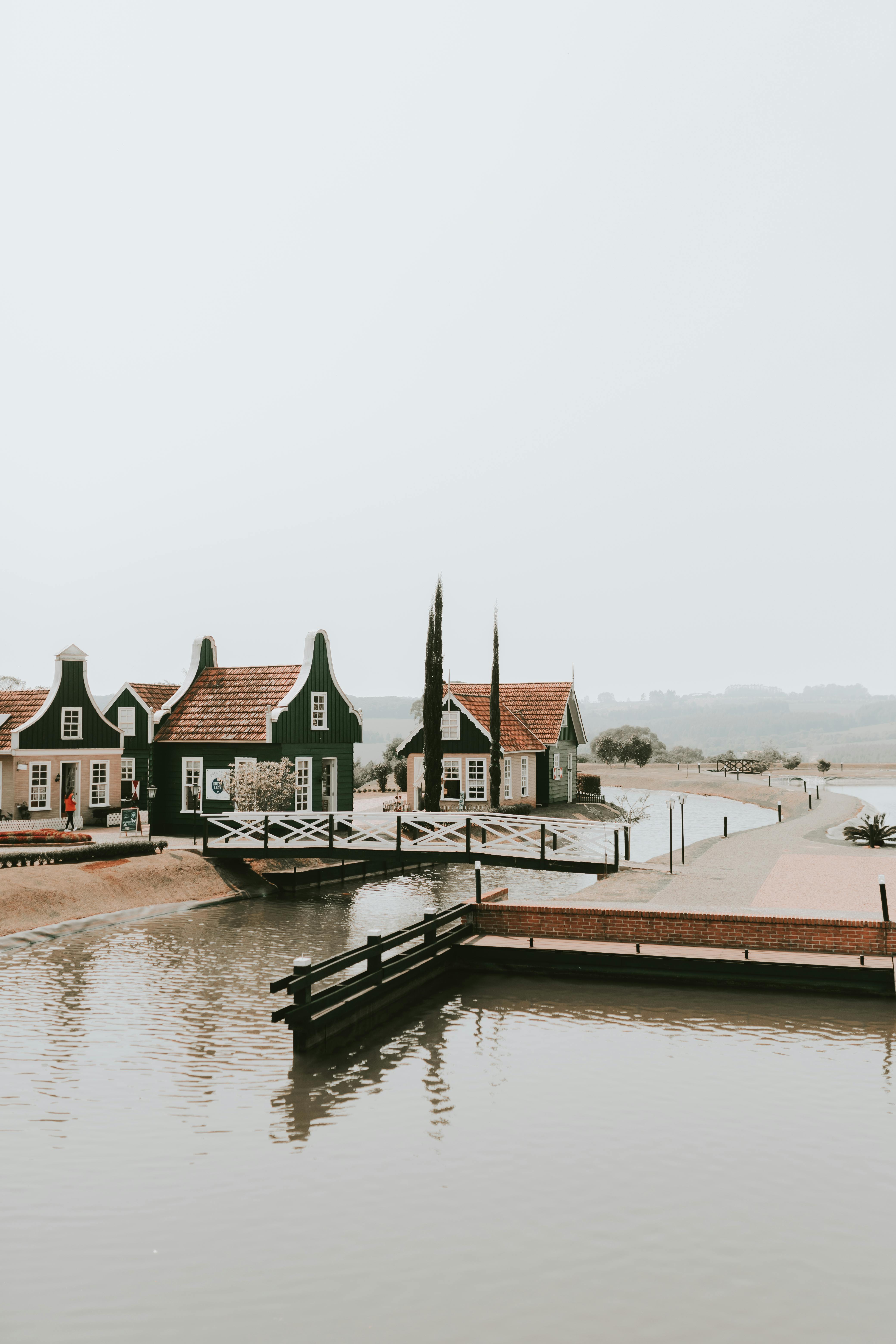 Picturesque view of traditional Dutch houses along a serene canal, capturing peaceful architecture and tranquil waters.