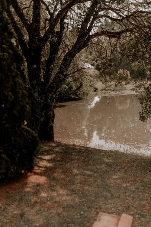 Free Peaceful riverside park scene with autumn trees and soft lighting, evoking calmness and reflection. Stock Photo