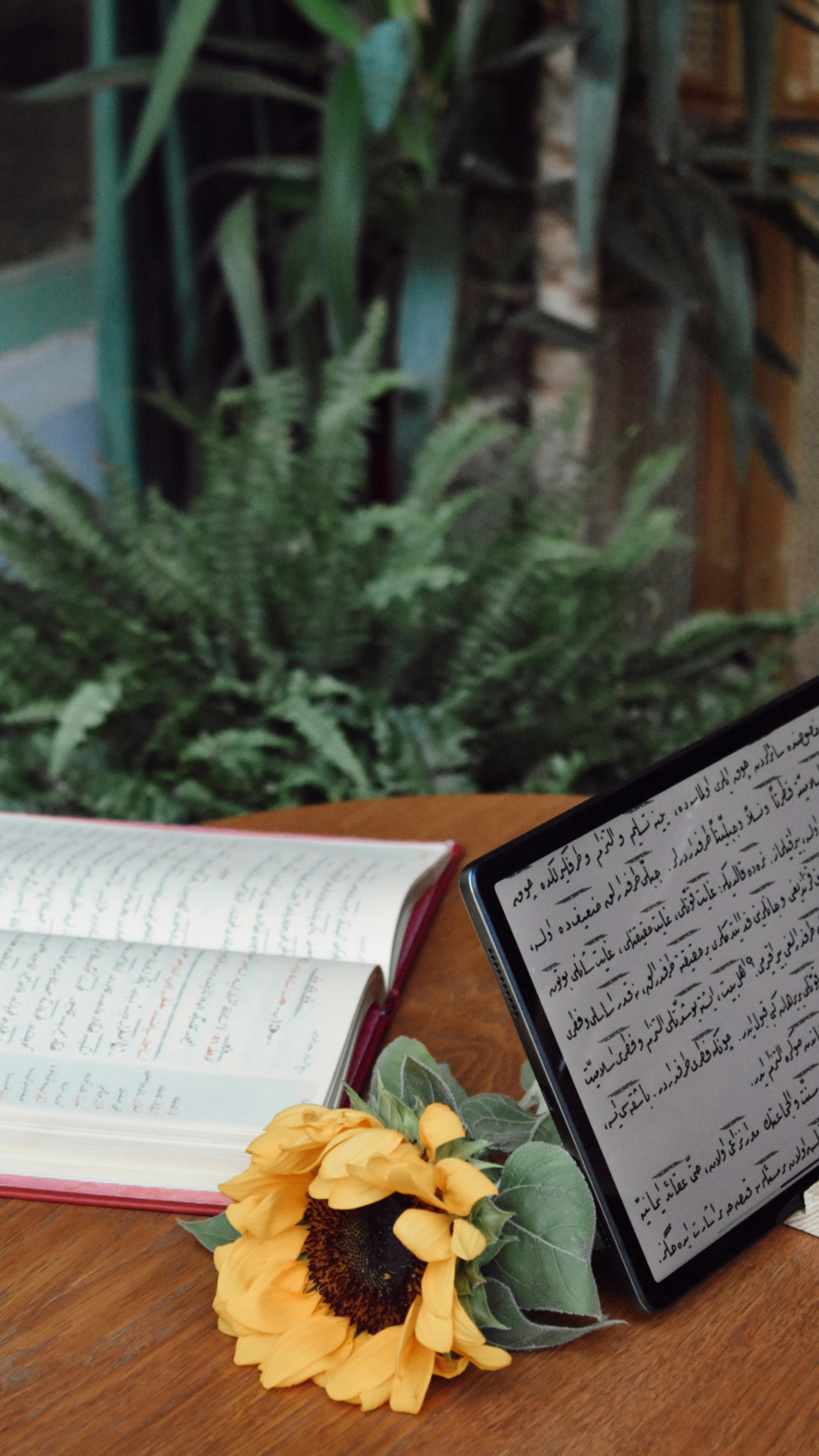 الصلح القضائي في المادة الاجتماعية