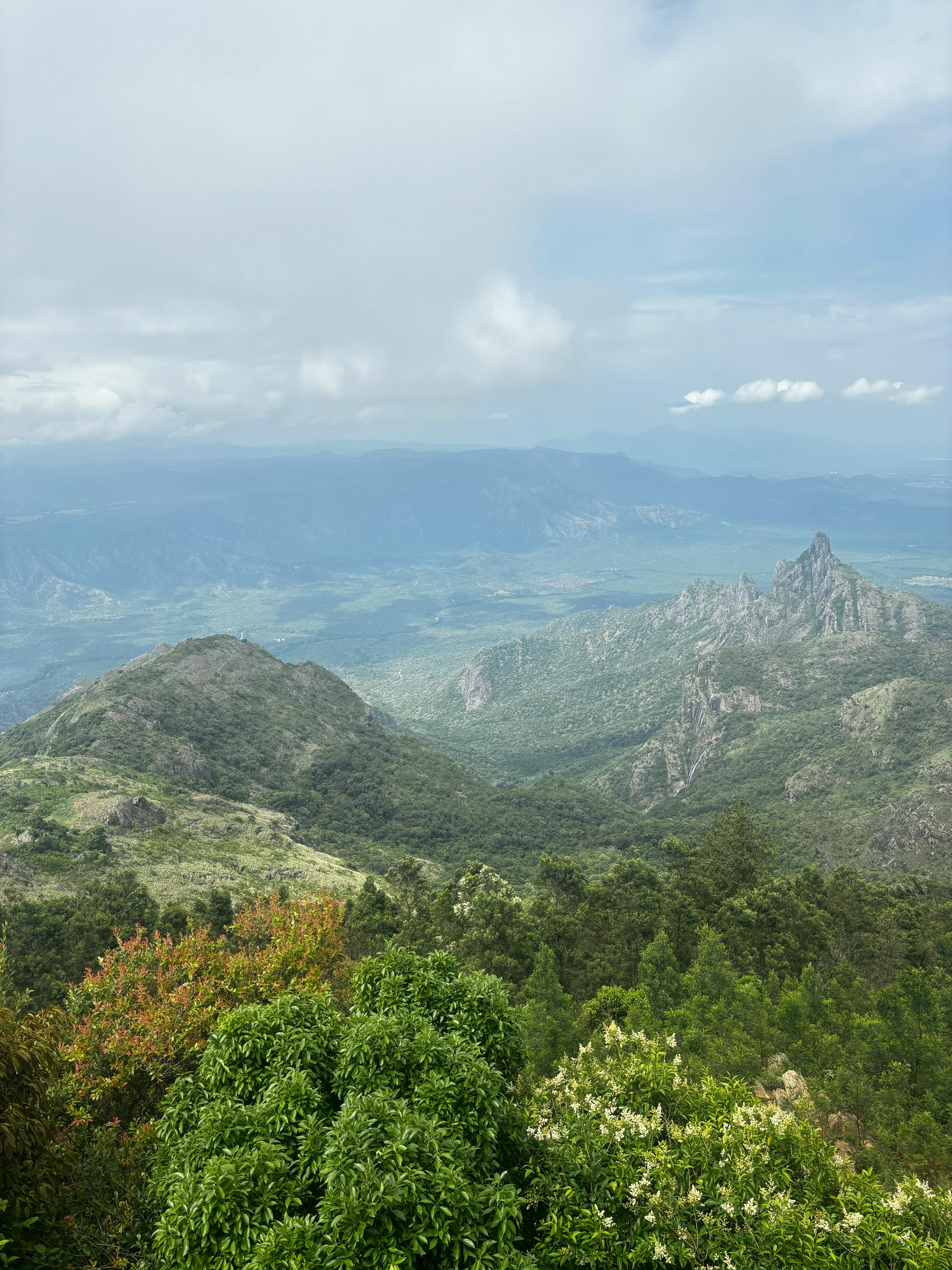 the view from the top of a mountain with green vegetation