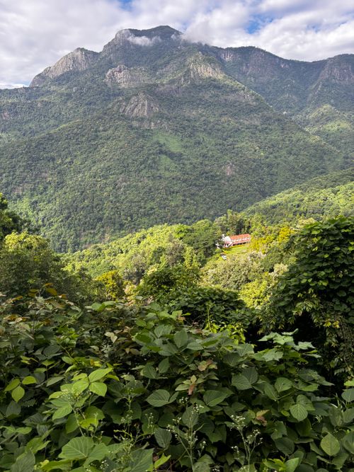 Free A breathtaking view of mountains and dense forest with rolling green foliage under a clear sky. Stock Photo