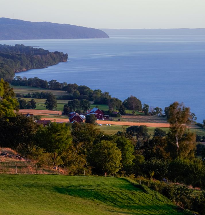 A view of a farm and ocean from a hill · Free Stock Photo