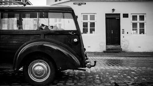 Free stock photo of car, car window, city