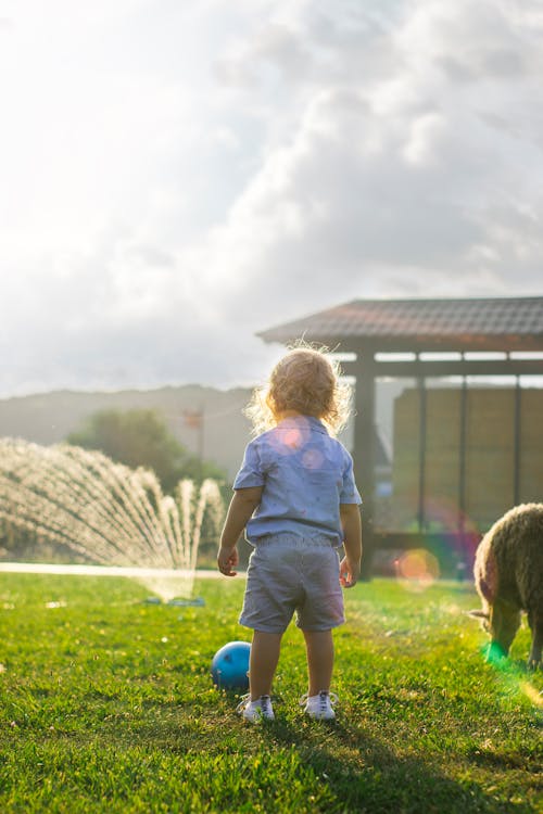 Back view Photo of Boy in Blue Playing Ball