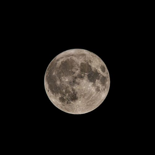 Free Capturing the captivating detail of a full moon in the dark night sky. Stock Photo