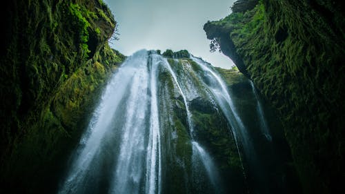 Free stock photo of blue water, clear sky, green