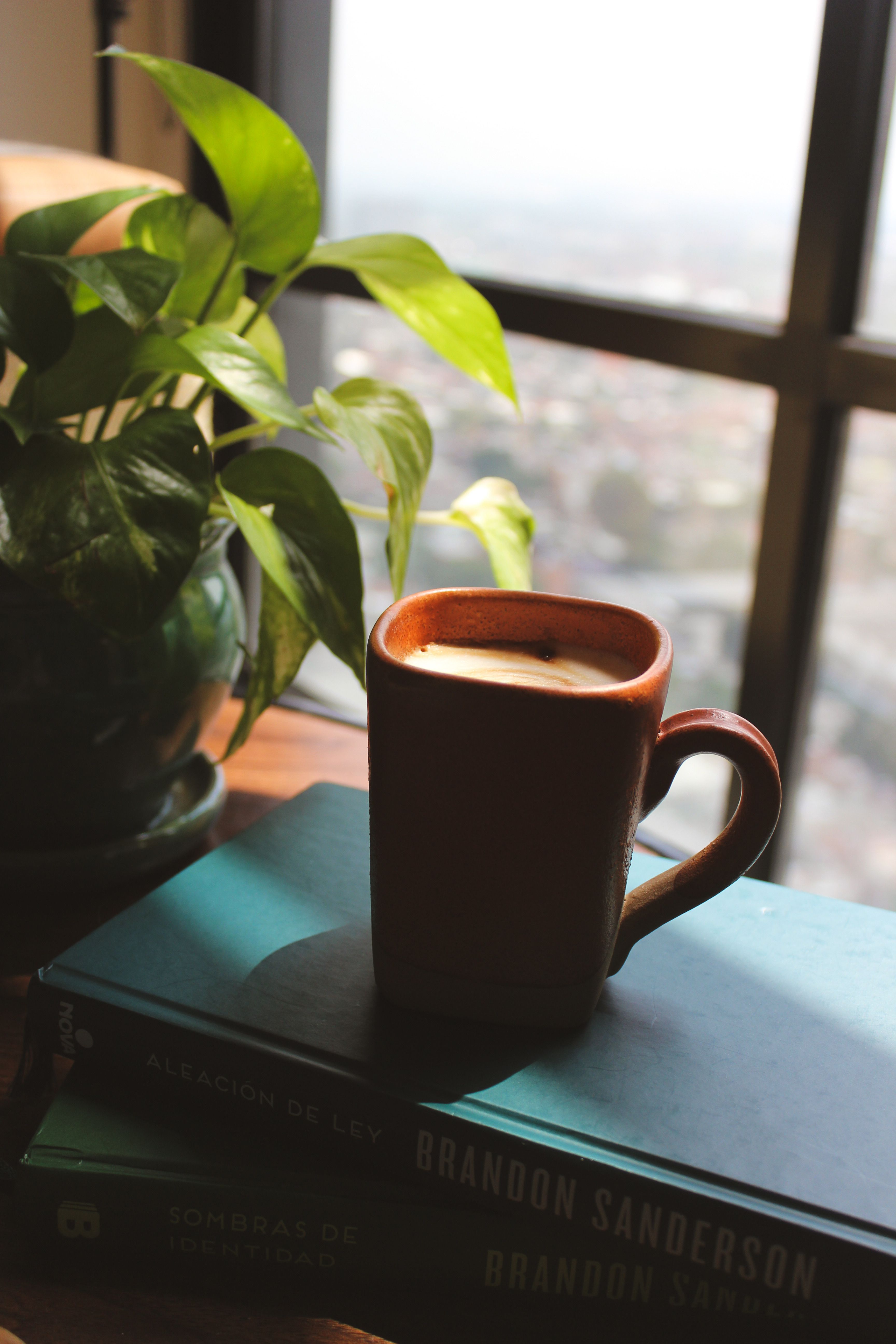 A warm coffee in a cozy indoor setting with books and greenery, ideal for relaxation.