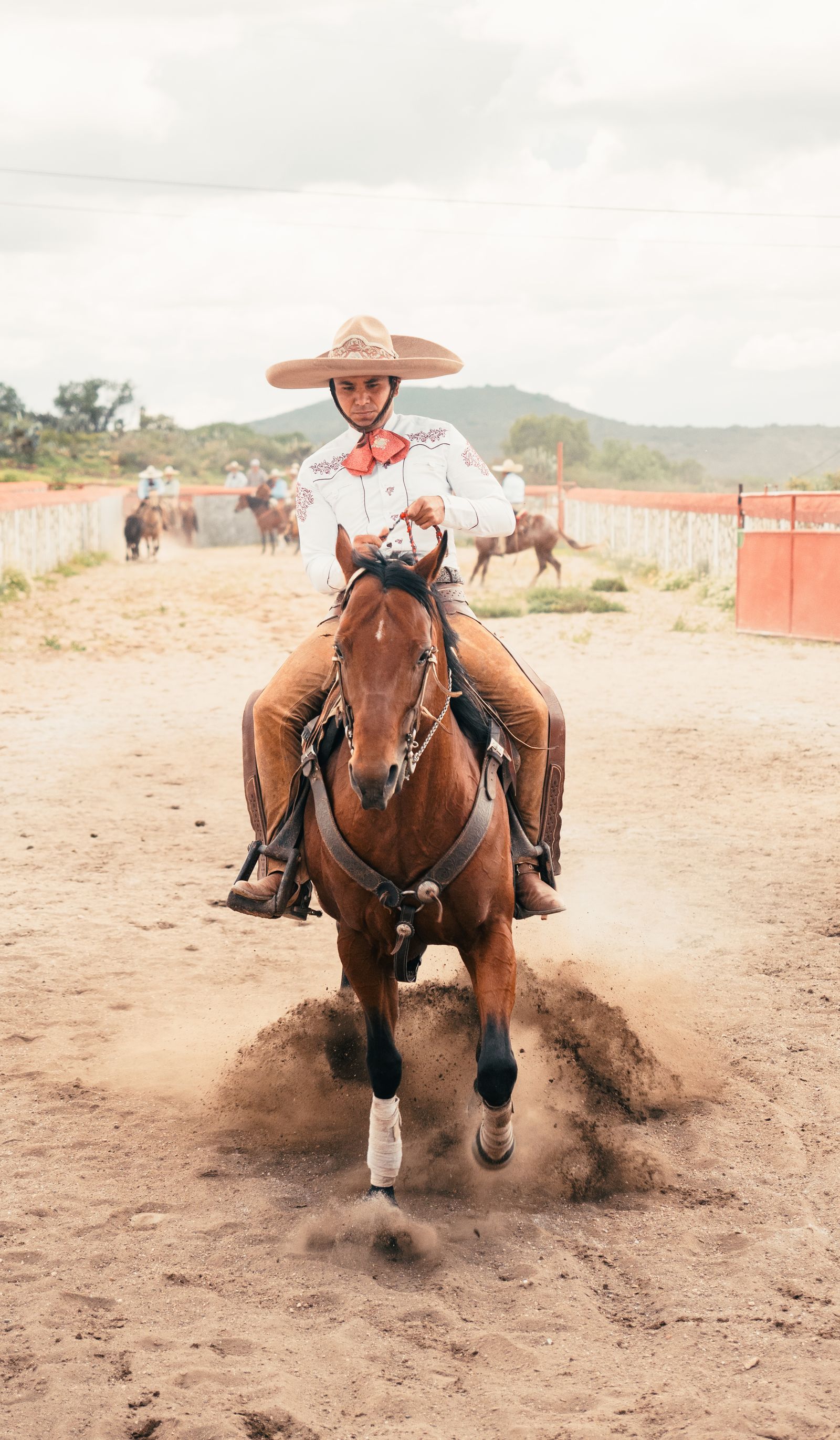 Man Riding Rocking Horse Man Riding A Horse · Free Stock Photo
