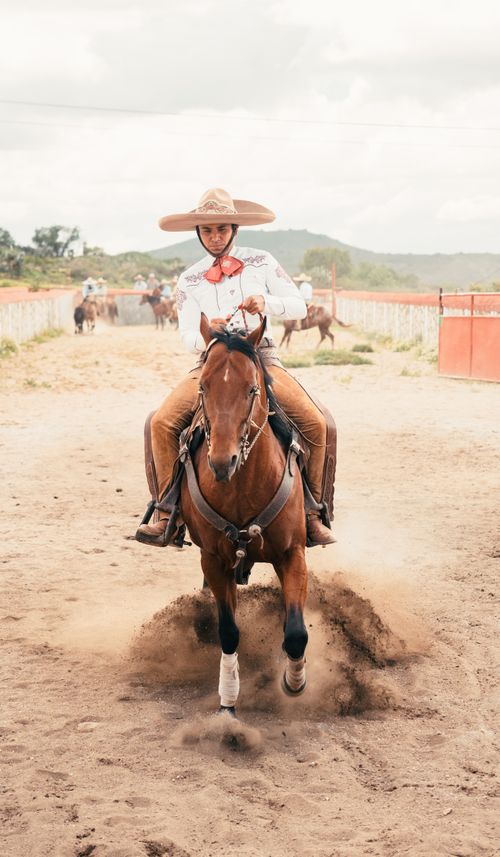 Free A cowboy expertly maneuvers a horse through a dusty rodeo arena. Stock Photo
