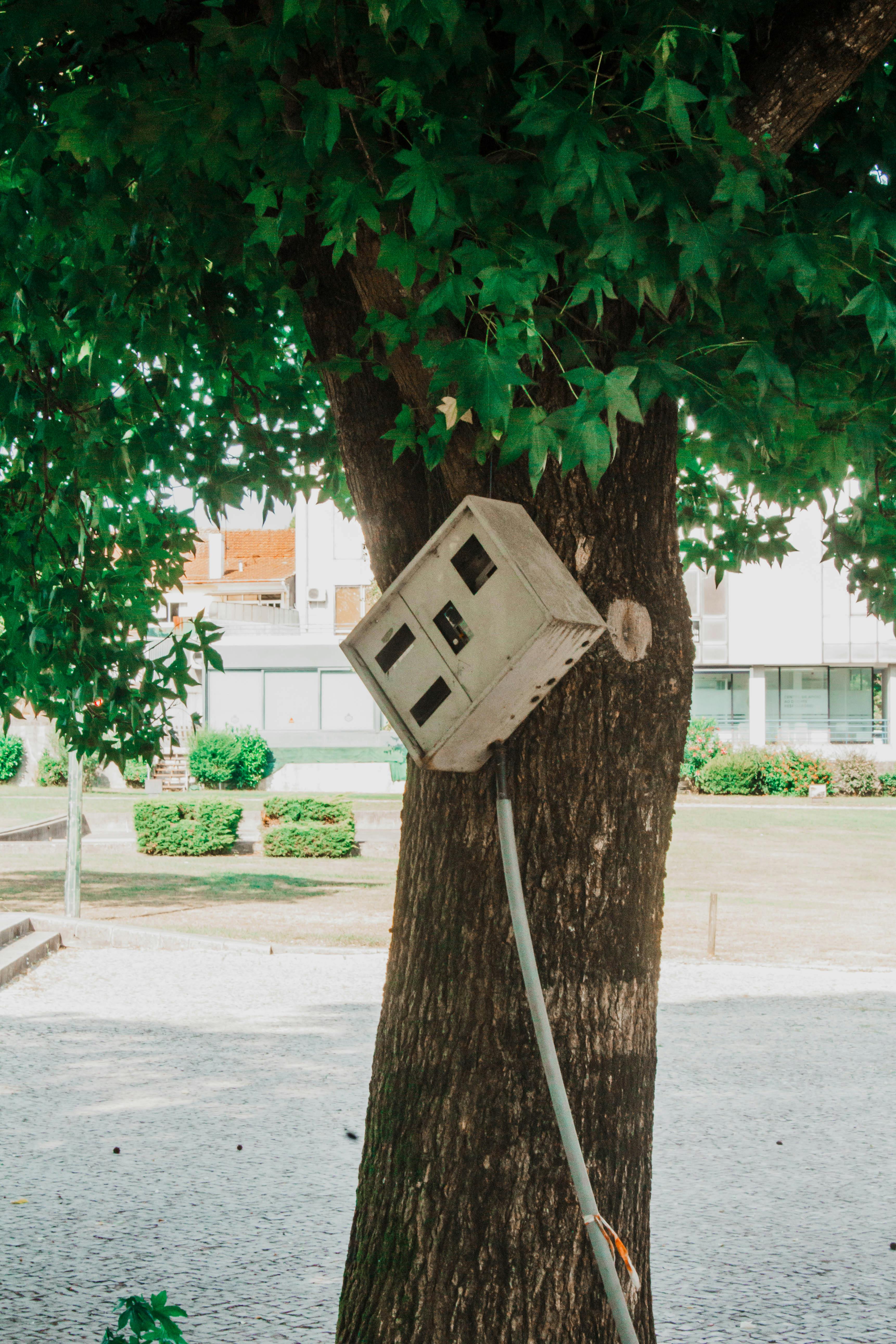 Image related to the article