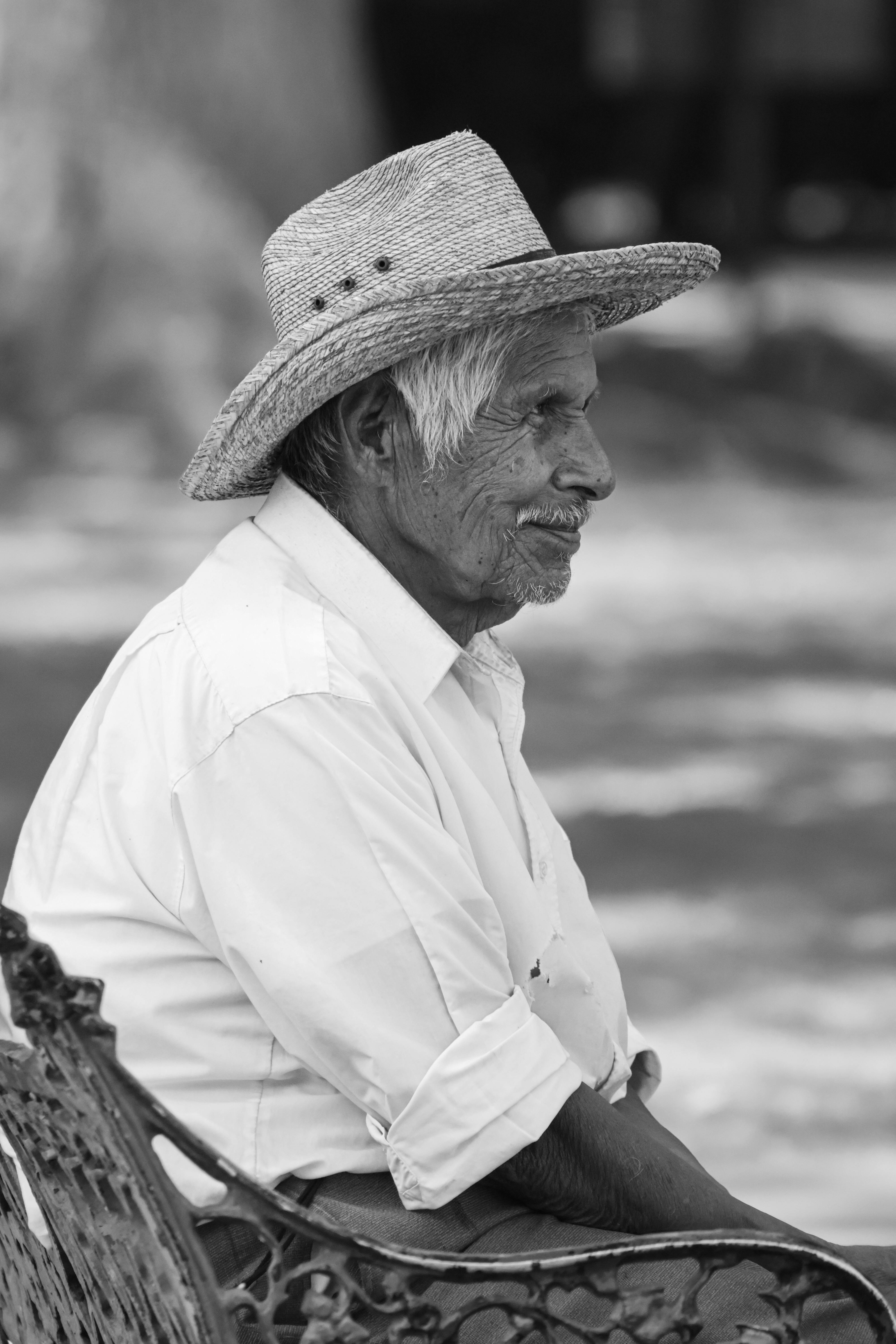 ฟรี คลังภาพถ่ายฟรี ของ กลางแจ้ง, การตั้งค่ากลางแจ้ง, การตั้งค่าธรรมชาติ คลังภาพถ่าย