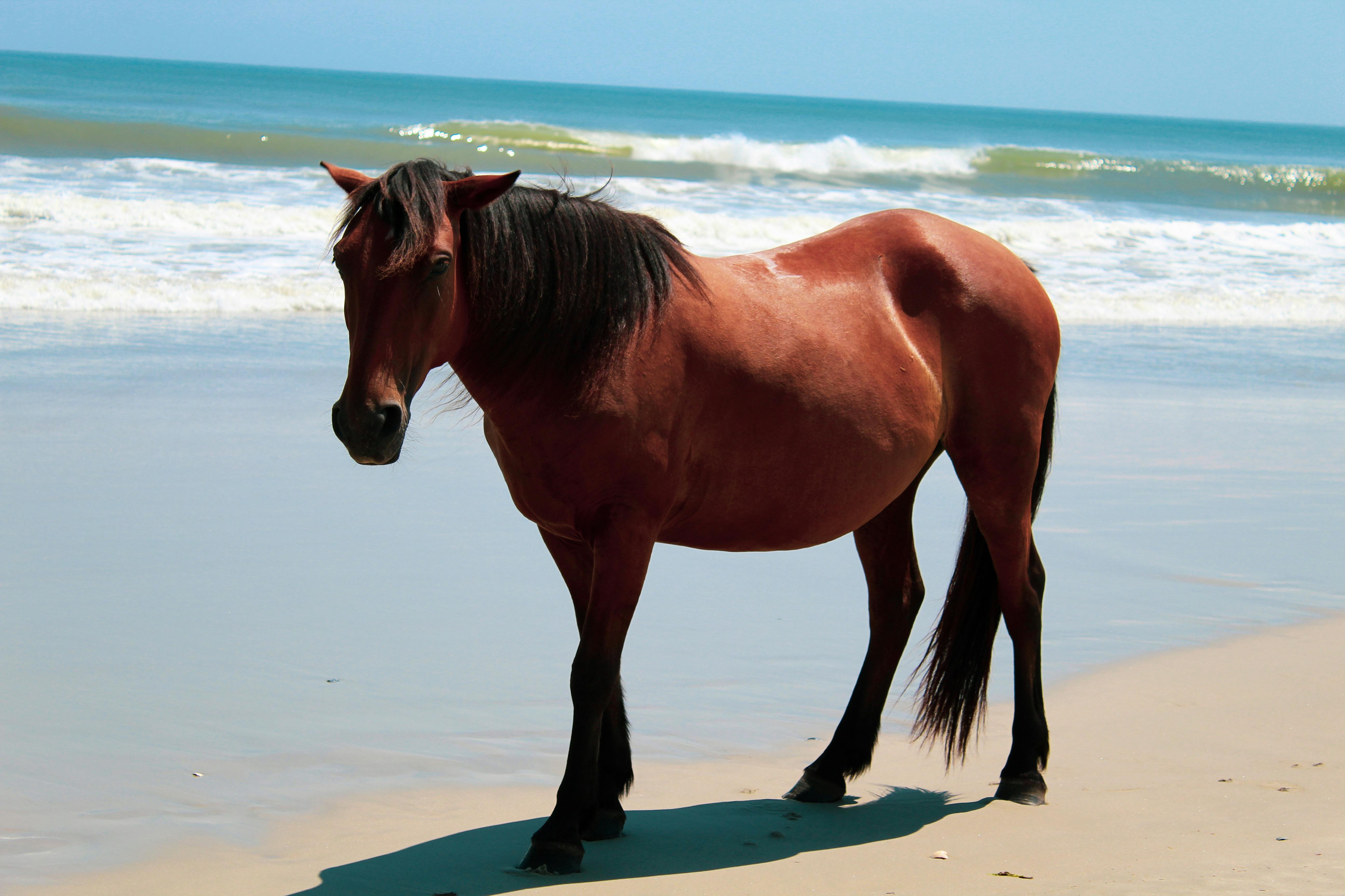 Rosemary Ketchum 사진