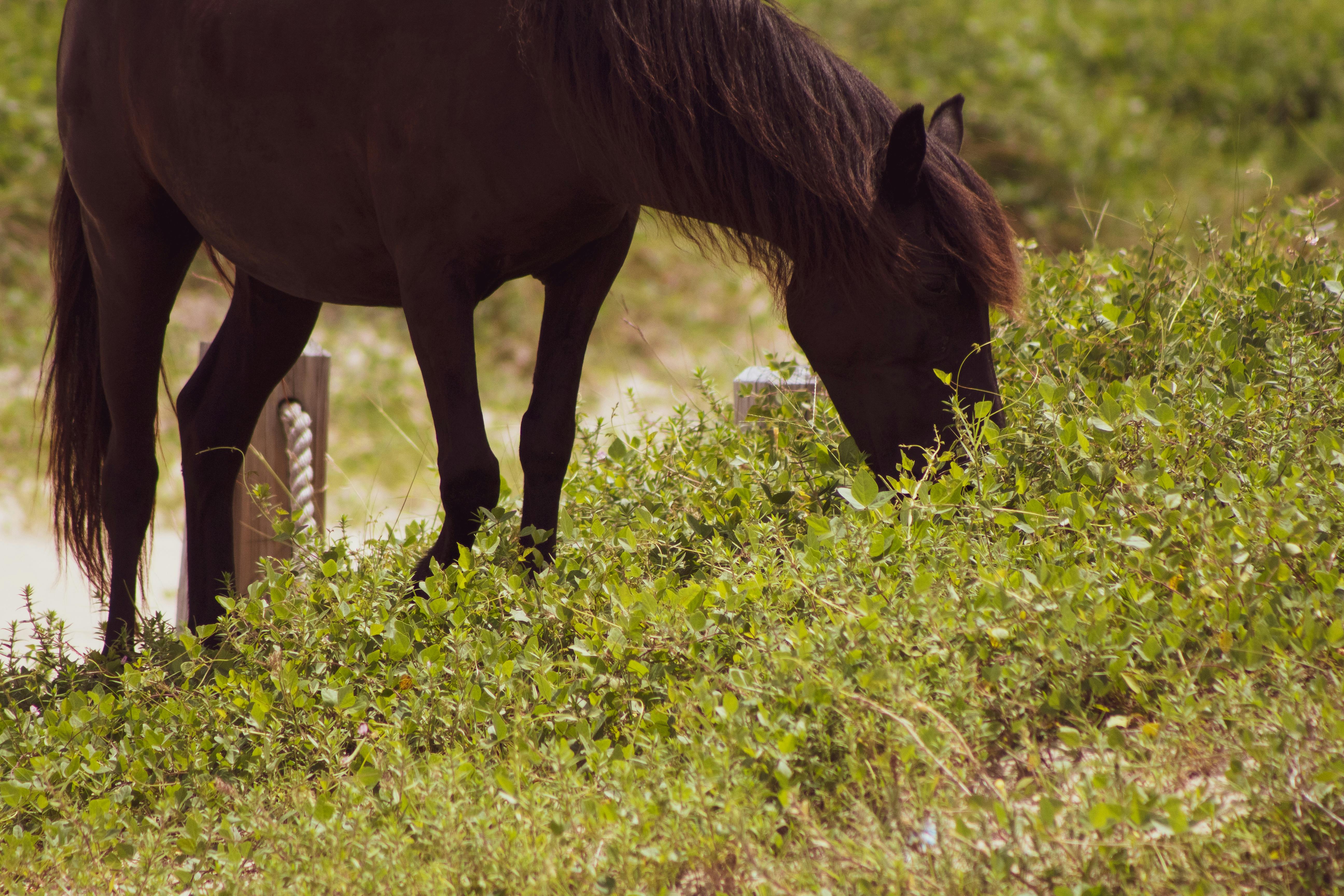 Rosemary Ketchum · Photography