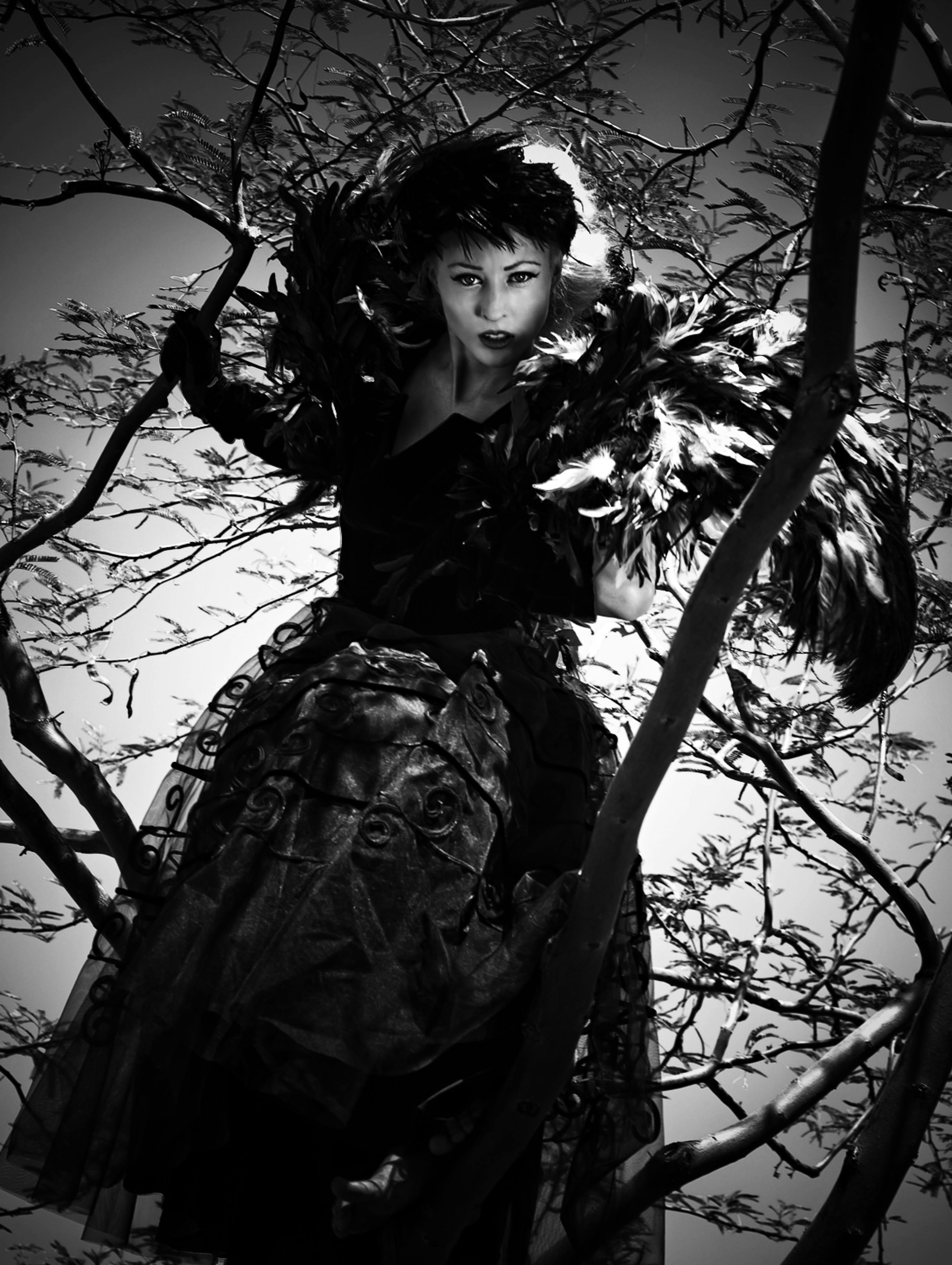Striking black and white portrait of a gothic model in a tree, dressed in a feathered ensemble.