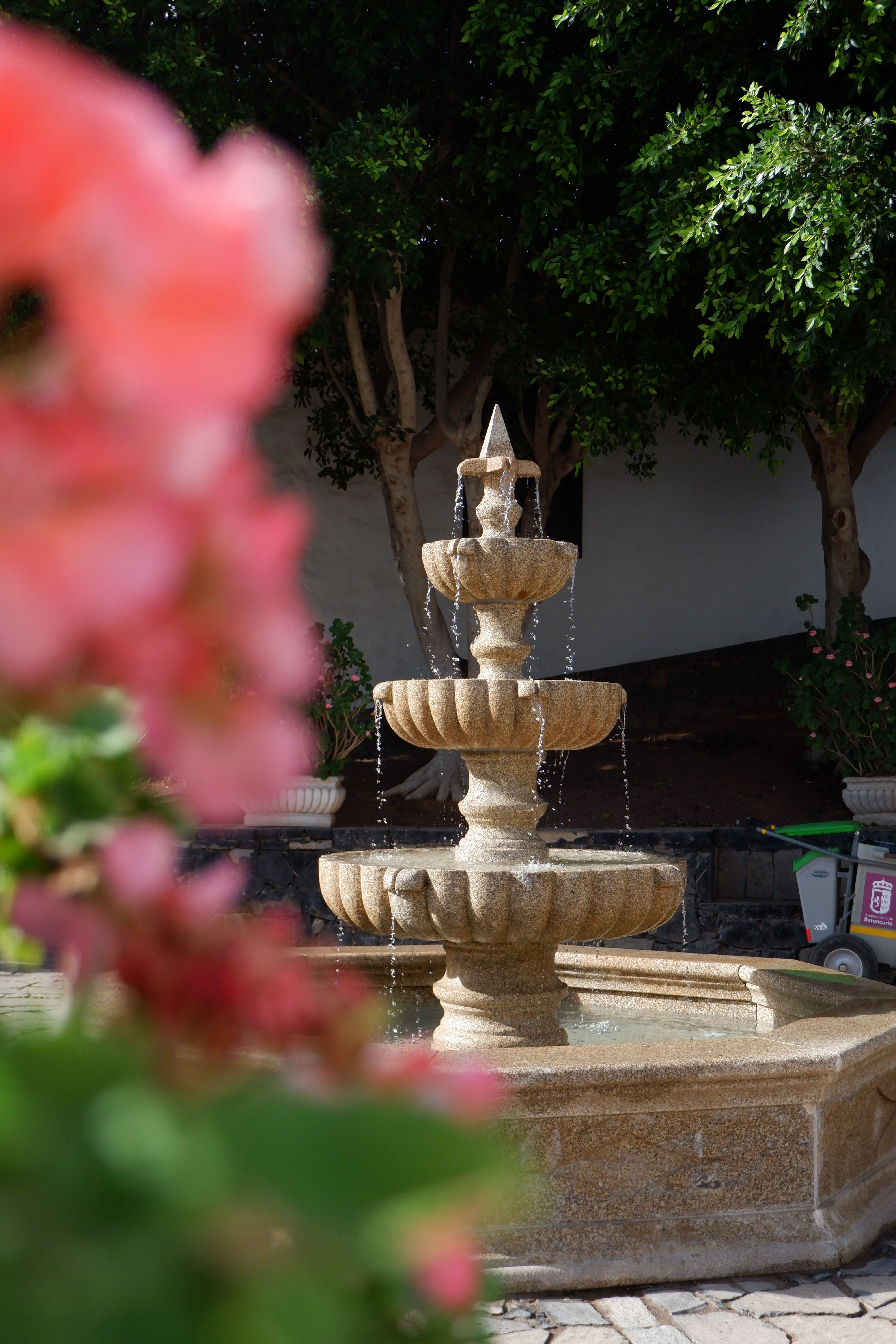 Red Flowers on White Concrete Outdoor Fountain · Free Stock Photo