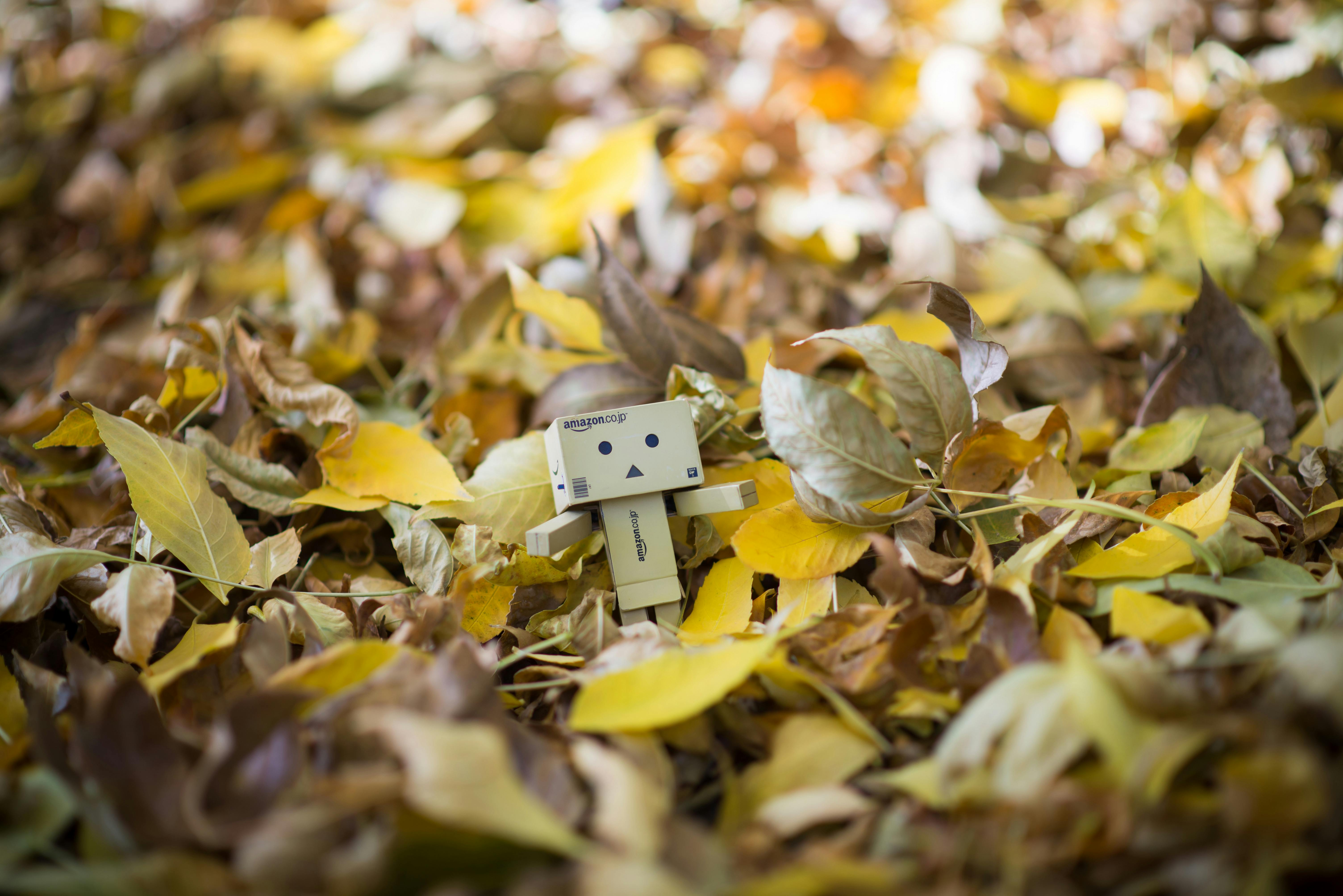 a small robot is sitting in the middle of leaves